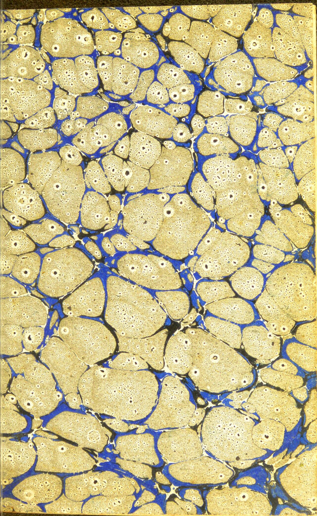 digitised image 3
