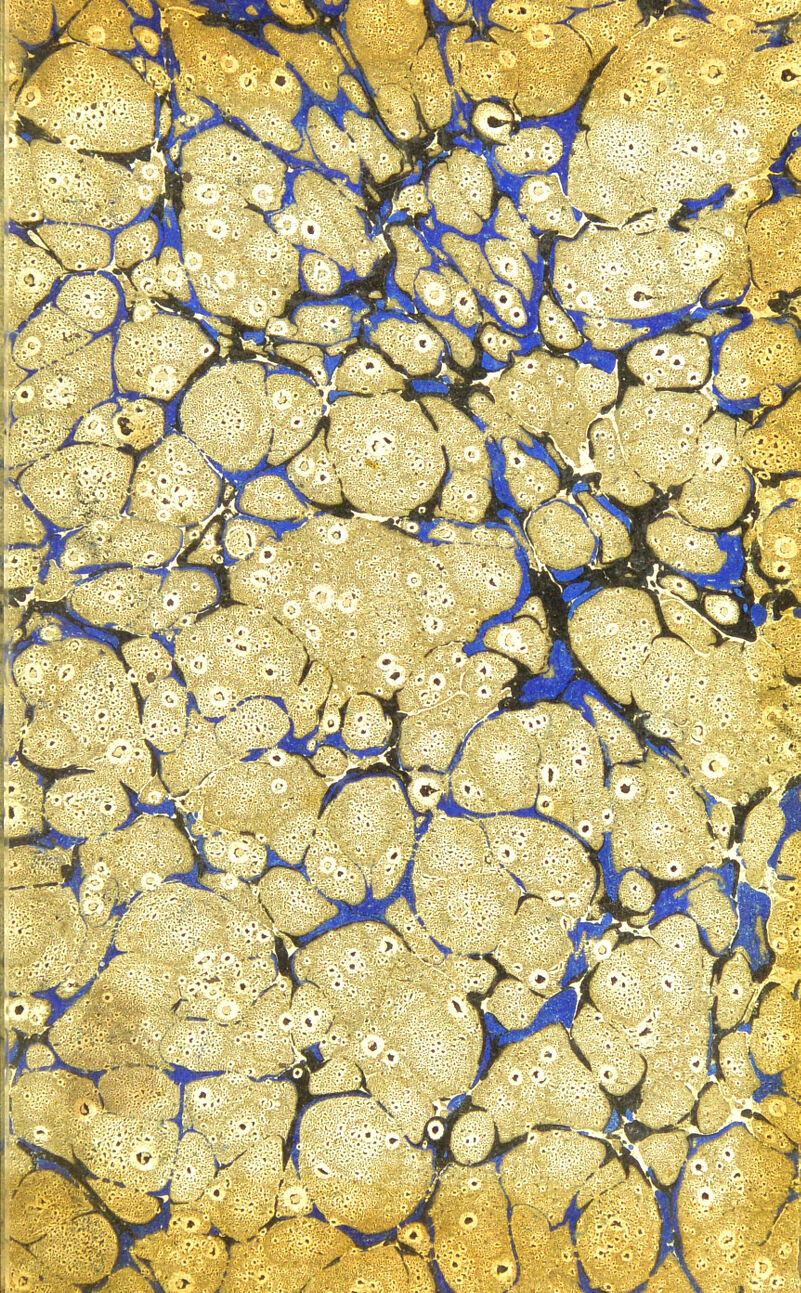 wÊÊÊêK— ^SÊbk » |pH^'^ fe ■' -v« '>oCB ^Kyi feÿv^rî^*.'