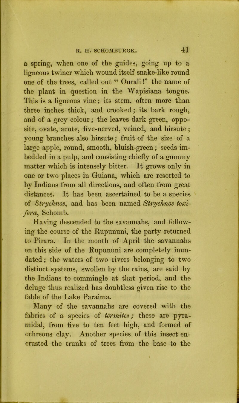 a spring, when one of the guides, going up to a ligneous twiner which wound itself snake-like round one of the trees, called out “ Ourali!” the name of the plant in question in the Wapisiana tongue. This is a ligneous vine; its stem, often more than three inches thick, and crooked; its bark rough, and of a grey colour; the leaves dark green, oppo- site, ovate, acute, five-nerved, veined, and hirsute; young branches also hirsute; fruit of the size of a large apple, round, smooth, bluish-green; seeds im- bedded in a pulp, and consisting chiefly of a gummy matter which is intensely bitter. It grows only in one or two places in Guiana, which are resorted to by Indians from all directions, and often from great distances. It has been ascertained to be a species of Strychnos, and has been named StrycJinos toxi- fera^ Schomb. Having descended to the savannahs, and follow- ing the course of the Rupununi, the party returned to Pirara. In the month of April the savannahs on this side of the Rupununi are completely inun- dated; the waters of two rivers belonging to two distinct systems, swollen by the rains, are said by the Indians to commingle at that period, and the deluge thus realized has doubtless given rise to the fable of the Lake Paraima. Many of the savannahs are covered with the fabrics of a species of termites; these are pyra- midal, from five to ten feet high, and formed of ochreous clay. Another species of this insect en- crusted the trunks of trees from the base to the