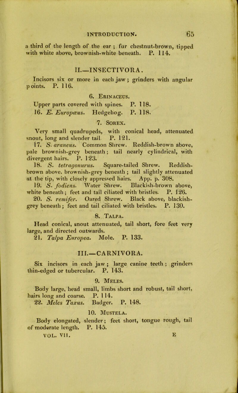 a third of the length of the ear ; fur chestnut-brown, tipped with white above, brownish-white beneath. P. 114. II INSECTIVORA. Incisors six or more in each jaw ; grinders with angular points. P. 116. 6. Erinaceus. Upper parts covered with spines. P. 118. 16. E. EuropcBus. Hedgehog. P. 118. 7. SOREX. Very small quadrupeds, with conical head, attenuated snout, long and slender tail. P. 121. 17. S- araneus. Common Shrew. Reddish-brown above, pale brownish-grey beneath; tail nearly cylindrical, with divergent hairs. P. 123. 18. S. tetragonuriis. Square-tailed Shrew. Reddish- brown above, brownish-grey beneath ; tail slightly attenuated at the tip, with closely appressed hairs. App. p. .308. 19. iS. fodiens. Water Shrew. Blackish-brown above, white beneath; feet and tail ciliated with bristles. P. 126. 20. S. remifer. Oared Shrew. Black above, blackish- grey beneath; feet and tail ciliated with bristles. P. 130. 8. Talpa. Head conical, snout attenuated, tail short, fore feet very large, and directed outwards. 21. Taipa Europea. Mole. P. 133. III.—CARNIVORA. Six incisors in each jaw ; large canine teeth ; grinders thin-edged or tubercular. P. 143. 9. Meles. Body large, head small, limbs short and robust, tail short, hairs long and coarse. P. 114. 22. Meles Taxus. Badger. P. 148. 10. Mustela. Body elongated, slender; feet short, tongue rough, tail of moderate length. P. 143. VOL. VII. E
