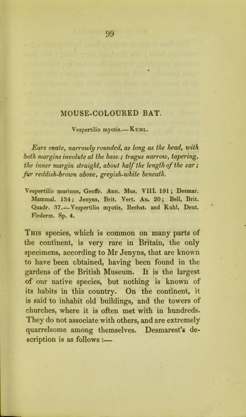 MOUSE-COLOURED BAT. Vespertilio myotis.—Kuhl. Ears ovatey narrowly rounded, as long as the head, with both margins involute at the base,; tragus narrow, tapering, the inner margin straight, about half the length of the ear ; fur reddish-brown above, greyish-white beneath. Vespertilio murinus, Geoffr. Ann. Mus. VIII. 191; Desmar. Mammal. 134; Jenyns, Brit. Vert. An. 20; Bell, Brit. Quadr. .37.—Vespertilio myotis, Bechst. and Kuhl, Deut. Flederm. Sp. 4. This species, which is common on many parts of the continent, is very rare in Britain, the only specimens, according to Mr Jenyns, that are known to have been obtained, having been found in the gardens of the British Museum. It is the largest of our native species, but nothing is known of its habits in this country. On the continent, it is said to inhabit old buildings, and the towers of churches, where it is often met with in hundreds. They do not associate with others, and are extremely quarrelsome among themselves. Desmarest’s de- scription is as follows :—