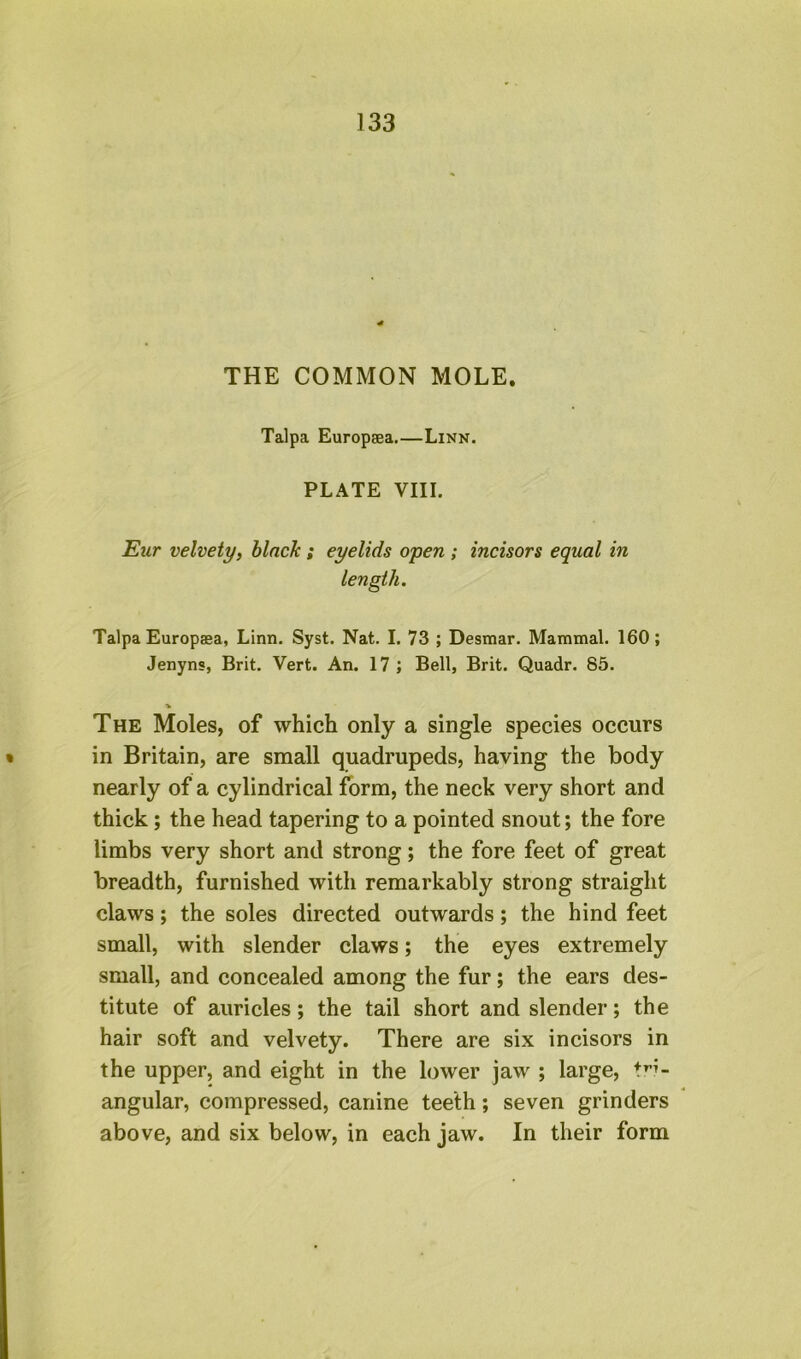 THE COMMON MOLE. Talpa Europsea.—Linn. PLATE VIII. Eur velvety, black ; eyelids open ; incisors equal in length. Talpa Europaea, Linn. Syst. Nat. I, 73 ; Desmar. Mammal. 160; Jenyns, Brit. Vert. An. 17 ; Bell, Brit. Quadr. 85. The Moles, of which only a single species occurs • in Britain, are small quadrupeds, having the body nearly of a cylindrical form, the neck very short and thick; the head tapering to a pointed snout; the fore limbs very short and strong; the fore feet of great breadth, furnished with remarkably strong straight claws; the soles directed outwards; the hind feet small, with slender claws; the eyes extremely small, and concealed among the fur; the ears des- titute of auricles; the tail short and slender; the hair soft and velvety. There are six incisors in the upper, and eight in the lower jaw ; large, angular, compressed, canine teeth; seven grinders above, and six below, in each jaw. In their form
