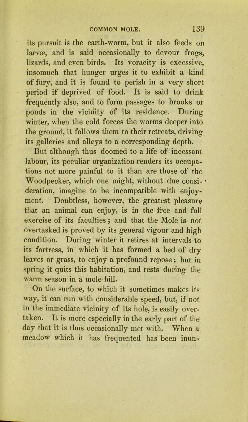 its pursuit is the earth-worm, but it also feeds on larva?, and is said occasionally to devour frogs, lizards, and even birds. Its voracity is excessive, insomuch that hunger urges it to exhibit a kind of fury, and it is found to perish in a very short period if deprived of food. It is said to drink frequently also, and to form passages to brooks or ponds in the vicinity of its residence. During winter, when the cold forces the worms deeper into the ground, it follows them to their retreats, driving its galleries and alleys to a corresponding depth. But although thus doomed to a life of incessant labour, its peculiar organization renders its occupa- tions not more painful to it than are those of the Woodpecker, which one might, without due consi- ’ deration, imagine to be incompatible with enjoy- ment. Doubtless, however, the greatest pleasure that an animal can enjoy, is in the free and full exercise of its faculties; and that the Mole is not overtasked is proved by its general vigour and high condition. During winter it retires at intervals to its fortress, in which it has formed a bed of dry leaves or grass, to enjoy a profound repose; but in spring it quits this habitation, and rests during the warm season in a mole-hill. On the surface, to which it sometimes makes its way, it can run with considerable speed, but, if not in the immediate vicinity of its hole, is easily over- taken. It is more especially in the early part of the day that it is thus occasionally met with. When a meadow which it has frequented has been inun-