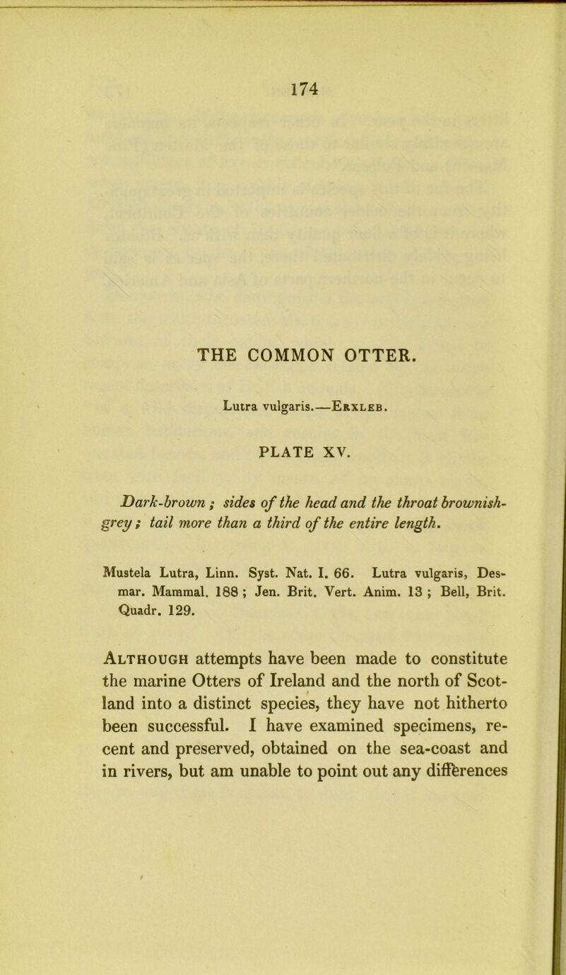 THE COMMON OTTER. Lutra vulgaris Erxleb. PLATE XV. Dark-brown ; sides of the head and the throat brownish- grey ; tail more than a third of the entire length, Mustek Lutra, Linn. Syst. Nat. I. 66. Lutra vulgaris, Des- mar. Mammal. 188 ; Jen. Brit. Vert. Anim. 13 ; Bell, Brit. Quadr. 129. Although attempts have been made to constitute the marine Otters of Ireland and the north of Scot- land into a distinct species, they have not hitherto been successful. I have examined specimens, re- cent and preserved, obtained on the sea-coast and in rivers, but am unable to point out any diflfbrences