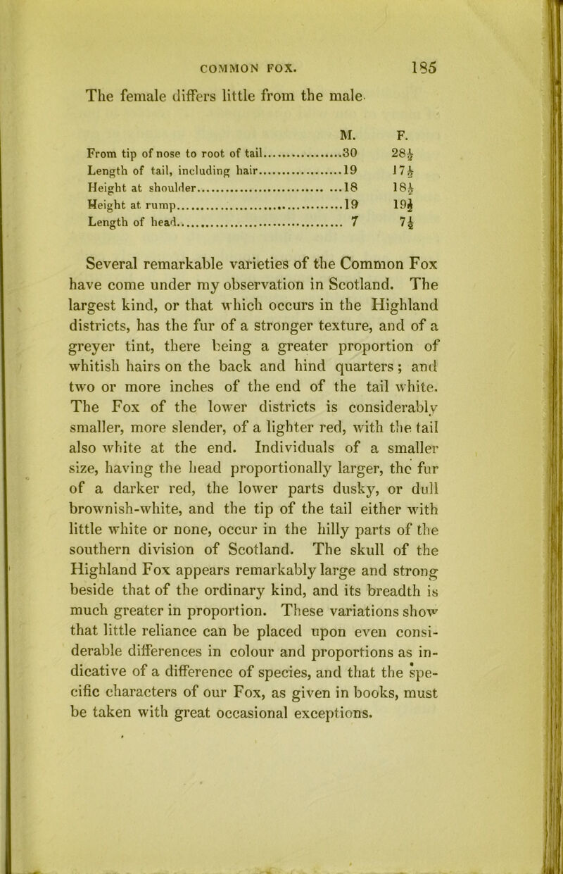 The female differs little from the male M. F. From tip of nose to root of tail 30 28^ Length of tail, including hair 19 J7^ Height at shoulder 18 18| Height at rump 19 19^ Length of head 7 7^ Several remarkable varieties of the Common Fox have come under ray observation in Scotland. The largest kind, or that which occurs in the Highland districts, has the fur of a stronger texture, and of a greyer tint, there being a greater proportion of whitish hairs on the back and hind quarters; and two or more inches of the end of the tail white. The Fox of the lower districts is considerably smaller, more slender, of a lighter red, with tlie tail also white at the end. Individuals of a smaller size, having the head proportionally larger, the fur of a darker red, the lower parts dusky, or dull brownish-white, and the tip of the tail either with little white or none, occur in the hilly parts of the southern division of Scotland. The skull of the Highland Fox appears remarkably large and strong beside that of the ordinary kind, and its breadth is much greater in proportion. These variations show that little reliance can be placed upon even consi- derable differences in colour and proportions as in- dicative of a difference of species, and that the spe- cific characters of our Fox, as given in books, must be taken with great occasional exceptions.