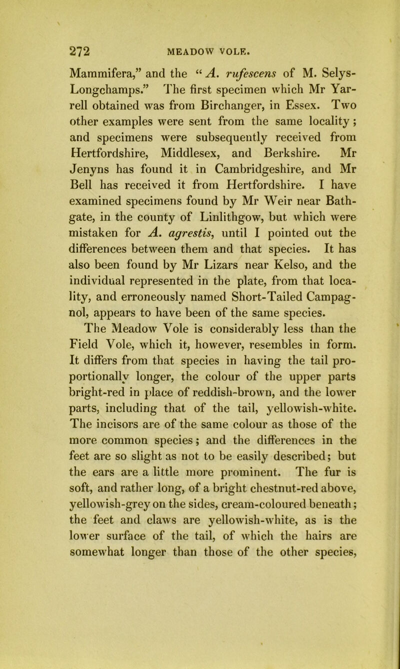 Mammifera,” and the “ A. rufescens of M. Selys- Longchamps.” The first specimen which Mr Yar- rell obtained was from Birchanger, in Essex. Two other examples were sent from the same locality; and specimens were subsequently received from Hertfordshire, Middlesex, and Berkshire. Mr Jenyns has found it in Cambridgeshire, and Mr Bell has received it from Hertfordshire. I have examined specimens found by Mr Weir near Bath- gate, in the county of Linlithgow, but which were mistaken for A. agrestis, until I pointed out the differences between them and that species. It has also been found by Mr Lizars near Kelso, and the individual represented in the plate, from that loca- lity, and erroneously named Short-Tailed Campag- nol, appears to have been of the same species. The Meadow Vole is considerably less than the Field Vole, which it, however, resembles in form. It differs from that species in having the tail pro- portionally longer, the colour of the upper parts bright-red in place of reddish-brown, and the lower parts, including that of the tail, yellowish-white. The incisors are of the same colour as those of the more common species; and the differences in the feet are so slight as not to be easily described; but the ears are a little more prominent. The fur is soft, and rather long, of a bright chestnut-red above, yellowish-grey on the sides, cream-coloured beneath; the feet and claws are yellowish-white, as is the loMer surface of the tail, of which the hairs are somewhat longer than those of the other species.