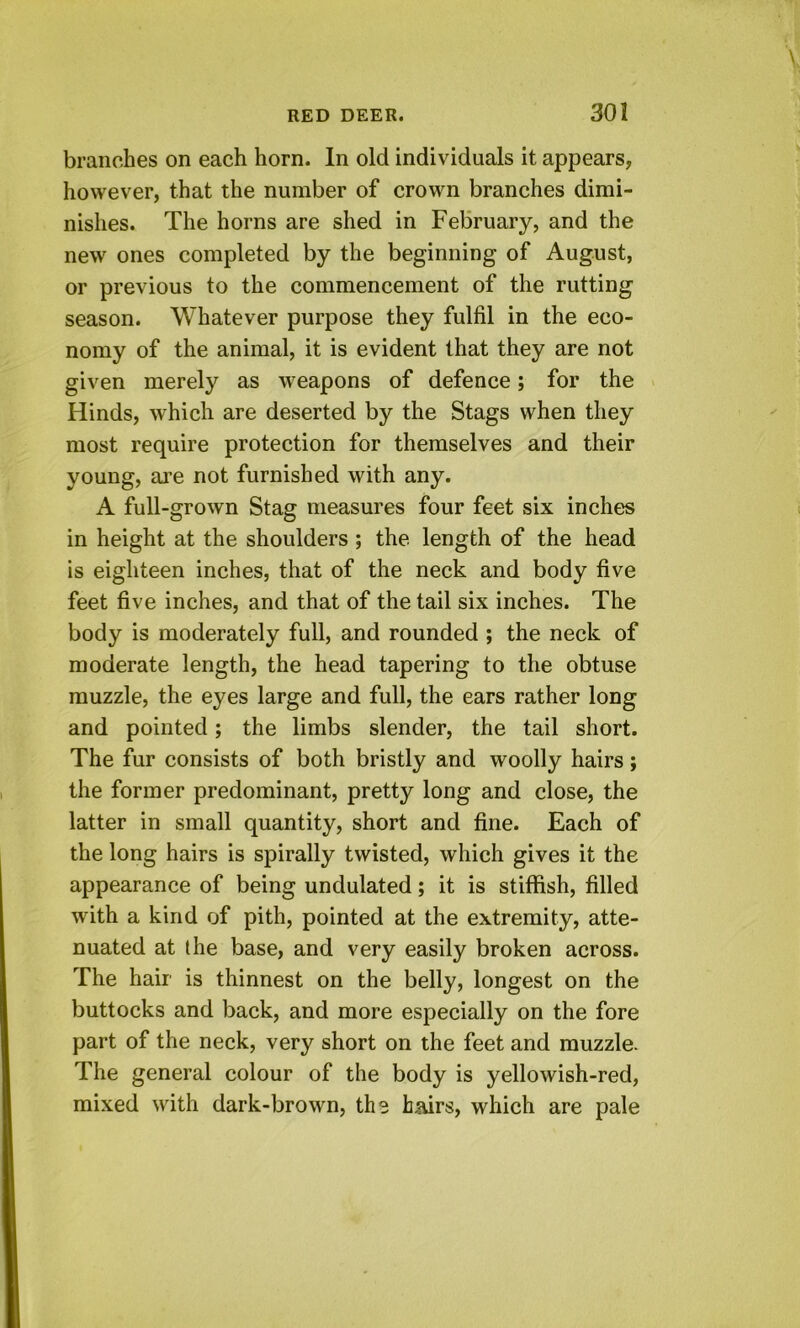 branches on each horn. In old individuals it appears, however, that the number of crown branches dimi- nishes. The horns are shed in February, and the new ones completed by the beginning of August, or previous to the commencement of the rutting season. Whatever purpose they fulfil in the eco- nomy of the animal, it is evident that they are not given merely as weapons of defence; for the Hinds, which are deserted by the Stags when they most require protection for themselves and their young, ai’e not furnished with any. A full-grown Stag measures four feet six inches in height at the shoulders ; the length of the head is eighteen inches, that of the neck and body five feet five inches, and that of the tail six inches. The body is moderately full, and rounded ; the neck of moderate length, the head tapering to the obtuse muzzle, the eyes large and full, the ears rather long and pointed; the limbs slender, the tail short. The fur consists of both bristly and woolly hairs; the former predominant, pretty long and close, the latter in small quantity, short and fine. Each of the long hairs is spirally twisted, which gives it the appearance of being undulated; it is stiffish, filled with a kind of pith, pointed at the extremity, atte- nuated at the base, and very easily broken across. The hair is thinnest on the belly, longest on the buttocks and back, and more especially on the fore part of the neck, very short on the feet and muzzle. The general colour of the body is yellowish-red, mixed with dark-brown, the hsurs, which are pale