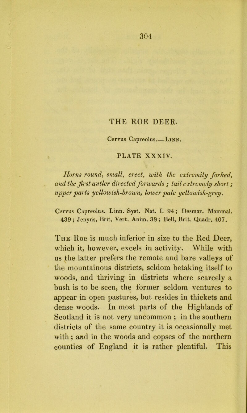 THE ROE DEER. Cervus Capreolus.—Linn. PLATE XXXIV. Horns round, small, erect, with the extremity forked, and the first antler directed forwards ; tail extremely short; upper parts yellowish-brown, lower pale yellowish-grey. Cervus Capreolus. Linn. Syst. Nat. I. 94; Desmar. Mammal. 439 ; Jenyns, Brit. Vert. Anim. 38 ; Bell, Brit. Quadr. 407. The Roe is much inferior in size to the Red Deer, which it, however, excels in activity. While with us the latter prefers the remote and bare valleys of the mountainous districts, seldom betaking itself to woods, and thriving in districts where scarcely a bush is to be seen, the former seldom ventures to appear in open pastures, but resides in thickets and dense woods. In most parts of the Highlands of Scotland it is not very uncommon ; in the southern districts of the same country it is occasionally met with; and in the woods and copses of the northern counties of England it is rather plentiful. This