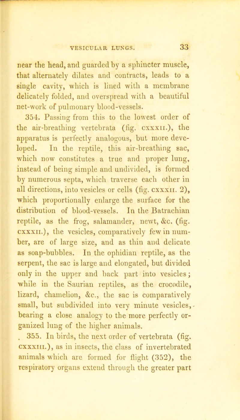 near the head, and guarded by a sphincter muscle, that alternately dilates and contracts, leads to a single cavity, which is lined with a membrane delicately folded, and overspread with a beautiful net-work of pulmonary blood-vessels. 354. Passing from this to the lowest order of the air-breathing vertebrata (fig. cxxxii.), the apparatus is perfectly analogous, but more deve- loped. In the reptile, this air-breathing sac, which now constitutes a true and proper lung, instead of being simple and undivided, is formed by numerous septa, which traverse each other in all directions, into vesicles or cells (fig. cxxxn. 2), which proportionally enlarge the surface for the distribution of blood-vessels. In the Batrachian reptile, as the frog, salamander, newt, &c. (fig. cxxxii.), the vesicles, comparatively few in num- ber, are of large size, and as thin and delicate as soap-bubbles. In the ophidian reptile, as the serpent, the sac is large and elongated, but divided only in the upper and back part into vesicles; while in the Saurian reptiles, as the crocodile, lizard, chamelion, &c., the sac is comparatively small, but subdivided into very minute vesicles,- bearing a close analogy to the more perfectly or- ganized lung of the higher animals. . 355. In birds, the next order of vertebrata (fig. cxxxm.), as in insects, the class of invertebrated animals which are formed for flight (352), the respiratory organs extend through the greater part
