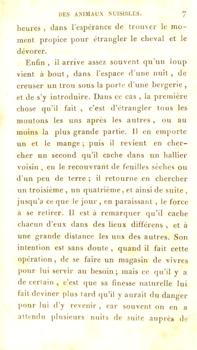 heures , clans l’espérance de trouver le mo- ment propice pour étrangler le cheval et le dévorer. Enfin , il arrive assez souvent qu’un loup vient à bout, dans l’espace d’une nuit, de creuser un trou sous la porte d’une bergerie , et de s’y introduire. Dans ce cas , la première chose qu’il fait , c’est d’étrangler tous les moutons les uns après les autres , ou au moins la plus grande partie. Il en emporte un et le mange ; puis il revient en cher- cher un second qu’il cache dans un hallier voisin , en le recouvrant de feuilles sèches ou d’un peu de terre ; il retourne en chercher un troisième , un quatrième, et ainsi de suite , jusqu’à ce que le jour , en paraissant , le force à se retirer. Il est a remarquer qu’il cache chacun d’eux dans des lieux différons , et à une grande distance les uns des autres. Son intention est sans doute, quand il fait cette opération, de se faire un magasin de vivres pour lui servir au besoin; mais ce qu’il y a de certain , c’est que sa finesse naturelle lui fait deviner plus lard qu’il y aurait du danger pour lui d’y revenir, car souvent on en a attendu plusieurs nuits de suite auprès de