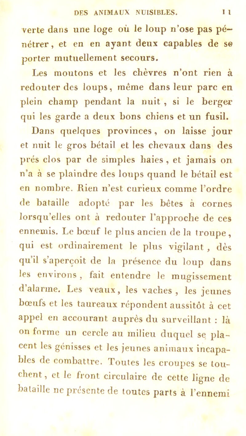 verte dans une loge où le loup n’ose pas pé- nétrer, et en en ayant deux capables de se porter mutuellement secours. Les moutons et les chèvres n’ont rien à redouter des loups, même dans leur parc en plein champ pendant la nuit , si le berger qui les garde a deux bons chiens et un fusil. Dans quelques provinces, on laisse jour et nuit le gros bétail et les chevaux dans des prés clos par de simples haies , et jamais on n’a à se plaindre des loups quand le bétail est en nombre. Rien n’est curieux comme l’ordre de bataille adopté par les bêtes à cornes lorsqu’elles ont à redouter l’approche de ces ennemis. Le bœuf le plus ancien de la troupe, qui est ordinairement le plus vigilant , dès qu’il s’aperçoit de la présence du loup dans les environs , lait entendre le mugissement d’alarme. Les veaux, les vaches, les jeunes bœufs et les taureaux répondent aussitôt à cet appel en accourant auprès du surveillant : là on forme un cercle au milieu duquel se pla- cent les génisses et les jeunes animaux incapa- bles de combattre. Toutes les croupes se lou- chent , et le front circulaire de cette ligne de bataille ne présente de toutes parts à l’ennemi