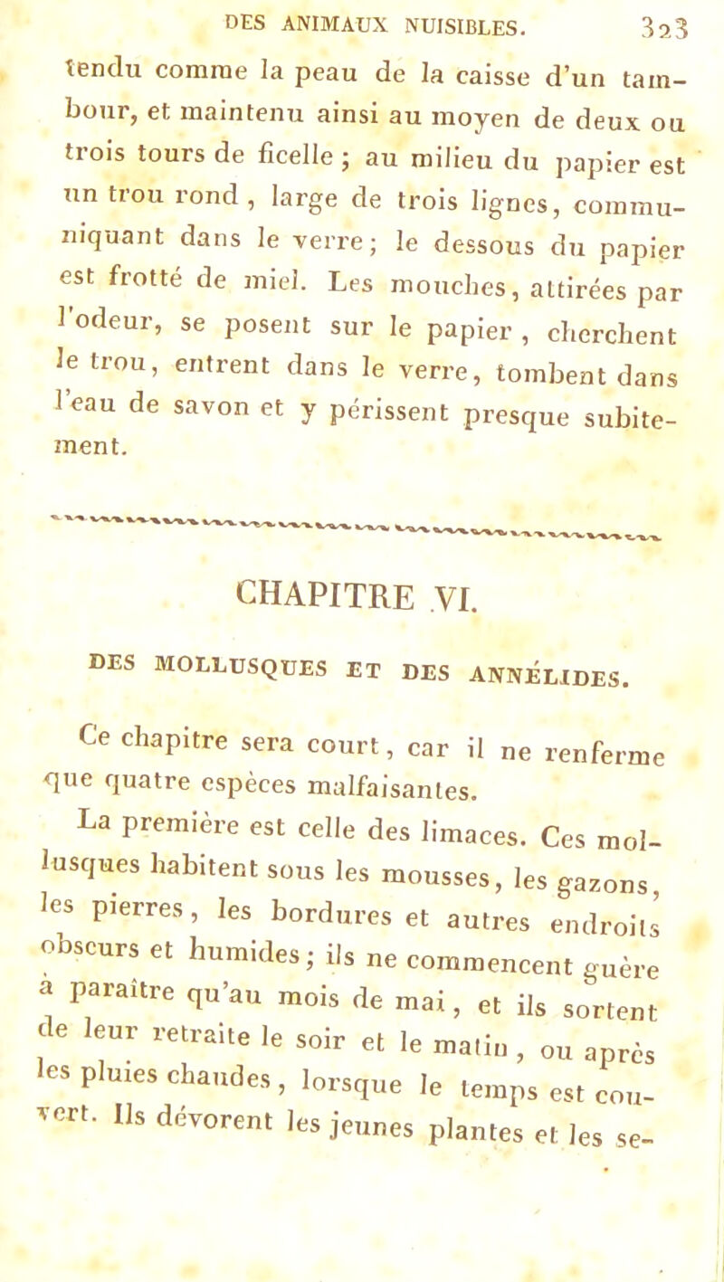 tendu comme la peau de la caisse d’un tam- bour, et maintenu ainsi au moyen de deux ou trois tours de ficelle ; au milieu du papier est un trou rond , large de trois lignes, commu- niquant dans le verre; le dessous du papier est frotté de miel. Les mouches, attirées par l’odeur, se posent sur le papier , cherchent le trou, entrent dans le verre, tombent dans l’eau de savon et y périssent presque subite- ment. * V CHAPITRE VI. DES MOLLUSQUES ET DES ANNELXDES. Ce chapitre sera court, car il ne renferme que quatre espèces malfaisantes. La première est celle des limaces. Ces mol- lusques habitent sous les mousses, les gazons, les pierres, les bordures et autres endroits obscurs et humides; ils ne commencent guère a paraître qu’au mois de mai, et ils sortent de leur retraite le soir et le matin , ou après les pluxes chaudes , lorsque le temps est cou- vert. Us dévorent les jeunes plantes et les se-