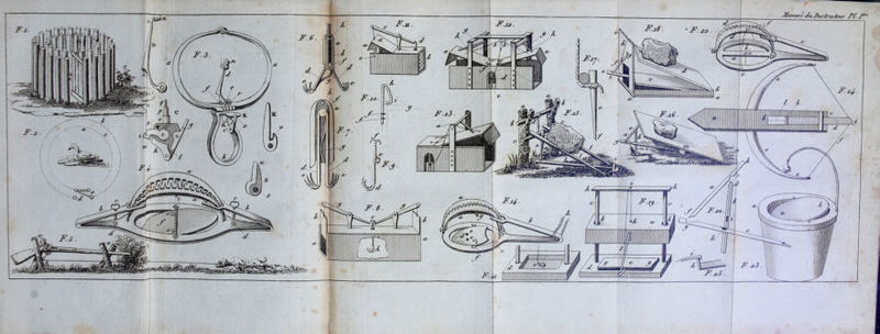 No text description is available for this image