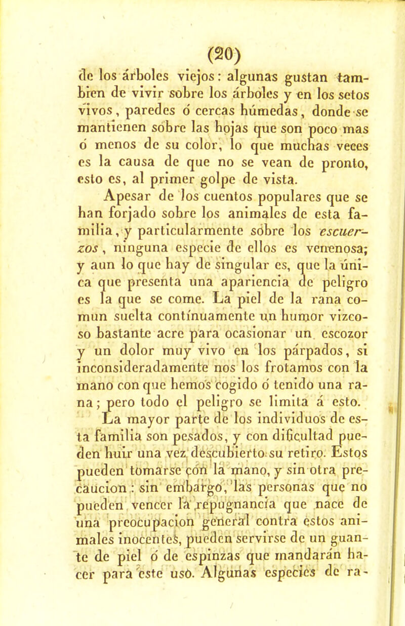 tie los arboles viejos: algunas gustan tam- bien de vivir sobre los arboles y en los setos vivos, paredes d cercas humedas, donde se mantienen sdbre las hojas que son poco mas 6 menos de su color, lo que muchas veces es la causa de que no se vean de pronlo, esto es, al primer golpe de vista. Apesar de los cuentos populares que se han forjado sobre los animales de esta fa- milia, y particularmente sobre los escuer- zos , ninguna especie de ellos es venenosa; y aim lo que bay de singular es, que la uni- ca que presenta una apariencia de peligro es la que se come. La piel de la rana co- mun suelta conti'nuamente nn humor vizco- so bastante acre para ocasionaT un. escozor y un dolor muy vivo en los parpados, si inconsideradamente nos los frotamos con la mano con que bemos cogido d tenido una ra- na ; pero todo el peligro se limita a esto. La mayor parte de los individuos de es- ta familia son pesados, y con dificultad pue- den bulr una vez descubiefto su retiro. Estos pueden tomarse con la mano, y sin otra pre- caucion : sin embargo, las personas que no pueden veneer la .repugnancia que nace de una prcocupacion general contra estos ani- males inocentes, pueden servirse de un guan- te de piel d de espinzas que rnandaran ha- ccr para este uso. Algunas especics de ra-