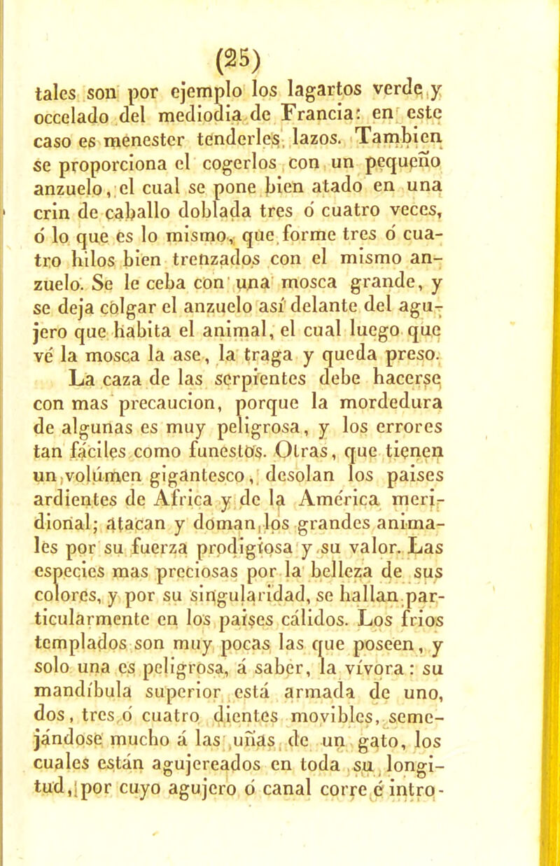 tales son por ejemplo los lagartos verdq.y occelado del raediodia de Francia: en este caso es menester tenderles, lazos. Tambien se proporciona el cogerlos con un pequeno anzuelo, el cual se pone bien atado en una crin de caballo doblada tres d cuatro veces, d lo que es lo mismo, que forme tres o' cua- tro hilos bien trenzado.s con el mismo an- zuelo. Se le ceba con una mosca grande, y se deja colgar el anzuelo asi delante del agu- jero que habita el animal, el cual luego que ve' la mosca la ase, la traga y queda preso. La caza de las scrpientes debe hacerse con mas precaucion, porque la mordedura de algunas es muy peligrosa, y los errores tan faciles como funeslOs. Olras, que tienen un voliimen gigantesco, desolan los paises ardientes de Africa y de la America meri- dional; atacan y doman.lps grandes anima- les por su fuerza prodigtosa y .su valor. Las especies mas preciosas por la belleza de sus colorcs, y por su sinigularidad, se hallan par- ticularmente en los paises calidos. Los frios templados son muy pocas las que poseen, y solo una es peligrosa, a saber, la vivora: su mandibula superior esta armada de uno, dos, tres o cuatro dientes movibles, seme- jandose mucbo a las unas de un gato, los cuales estan agujereados en toda su longi- tud,;por cuyo agujcro 6 canal corre e intro-