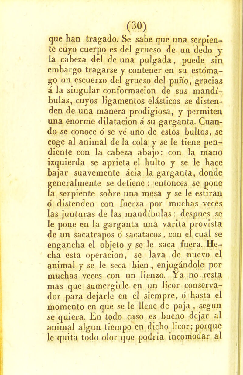 que han tragado. Se sabe que una scrpien- te cuyo cuerpo es del grueso de un dedo y la cabeza del de una pulgada, puede sin embargo tragarse y contener en su estdma- go un escuerzo del grueso del puno, gracias a la singular conformacion de sus mandi'- bulas, cuyos ligamentos elasticos se disten- den de una manera prodigiosa, y permiten una enorme dilatacion a su garganta. Cuan- do se conoce o' se ve uno de estos bultos, se coge al animal de la cola y se le tiene pen- diente con la cabeza abajo: con la mano izquierda se aprieta el bulto y se le bace bajar suavemente acia la garganta, donde generalmente se detiene : entonces se pone la serpientc sobre una mesa y se le estiran d distenden con fuerza por mucbas veces las junturas de las mandi'bulas: despues se le pone en la garganta una varita provista de un sacatrapos d sacatacos, con el cual se engancha el objeto y se le saca fuera. He- cha esta operacion, se lava de nuevo el animal y se le seca bien , enjugandole por muchas veces con un lienzo. Ya no resta mas que sumergirle en un licor conserva- dor para dcjarle en el siempre, d hasta el momento en que se le llene de paja , segun se quiera. En todo caso es bueno dejar al animal algun tiempo en dicbo licor; porque le quita todo olor que podria incomodar al