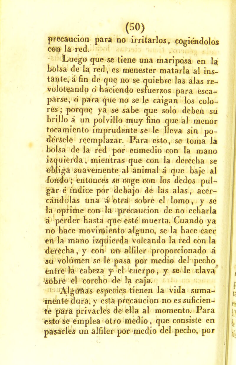 precaucion para no irritarlos, cogie'ndolos con la red. Luego que se tiene una mariposa en la bolsa de la red, es mcnester matarla al ins- tante, a fin de que no se quiebre las alas re- voloteando d haciendo estuerzos para esca- parse, o para que no se le caigan los colo- res; porque ya se sabe que solo deben su brillo a un polvillo muy fino que al menor tocamiento imprudente se le lleva sin po- deYsele rcemplazar. Para esto, se toma la bolsa de la red por enmedio con la mano izquierda, micntras que con la derecha se objiga suavemente al animal a que bajc al fondo; entonces so eoge con los dedos pul- gar e indice por dcbajo de las alas, acer- candolas una a otra sobre el lomo, y se la oprime con la precaucion de no echarla a perder hasta que cste muerta. Cuando ya no hace movimiento alguno, se la hace caer en la mano izquierda voicando la red con la derecha, y con un alfiler proporcionado a su volumen se le pasa por medio del pecho entre la cabeza y el cuerpo, y sc. le clava sobre el corcho de la caja. Algrfftas especies tienen la vida suma- mente dura, y esta precaucion no essuficien- te para privarles de clla al momento. Para esto se emplea otro medio, que consiste en pasarles un alfiler por medio del pecho, por