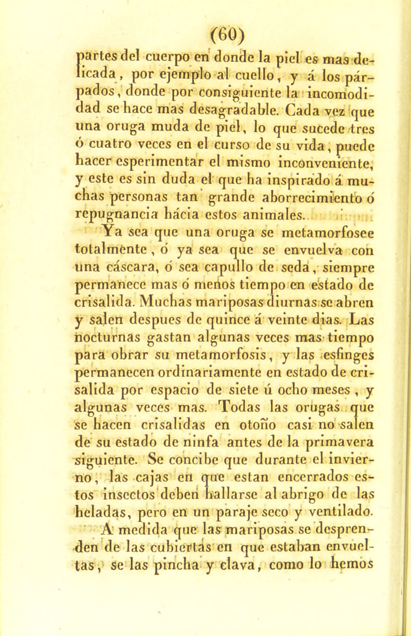 fiartesdel cuerpo en donde la picl es mas de- icada, por ejeinplo al cuello, y a los par- pados, donde por consiguiente la incomodi- dad sehace mas desagradable. Cada yez que una oruga muda de piel, lo que sucede tres 6 cuatro veces en el curso de su vida, puedc hacer csperimentar el mismo inconveniente, y este es sin duda el que ha inspirado a mu- chas personas tan grande aborrecimiento 6 repugnancia hacia estos animales. Ya sea que una oruga se metamorfosee totalmente , d ya sea que se envuelva con una cascara, 6 sea capullo de seda, siempre permanecc mas d merios tiempo en estado de crisalida. Muchas mariposas diurnas se abren y salen despues de quince a veinte dias. Las noclurnas gastan algunas veces mas tiempo para obrar su metamorfosis, y las esfinges permanecen ordinariamente en estado de cri- salida por espacio de siete u ocho meses , y algunas veces mas. Todas las orugas que se hacen crisalidas en otono casi no salen de su estado de ninfa antes de la primavera siguiente. Se concibe que durante el invier- no, las cajas en que estan encerrados es- tos insectos deberi ballarse al abrigo de las heladas, pero en un paraje seco y ventilado. A medida que las mariposas se despren- den de las cubiertas en que estaban envuel- tas, se las pincha y clava, como lo hemos