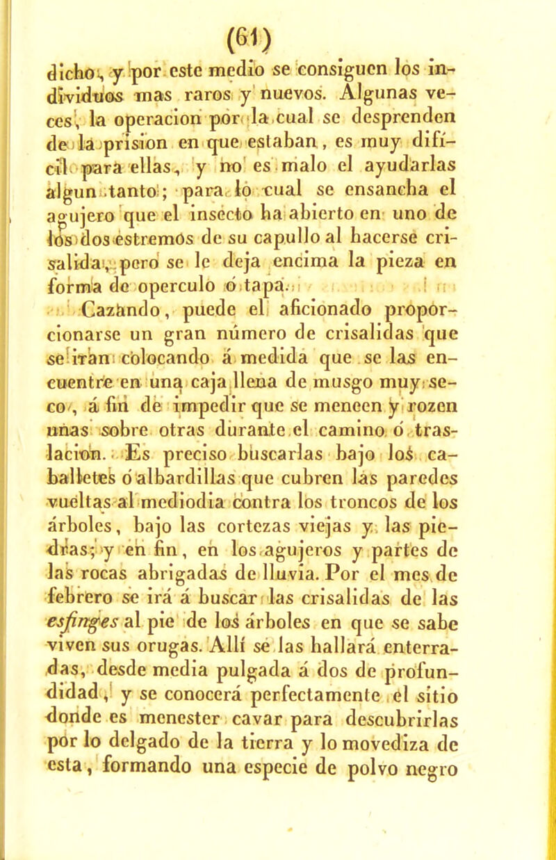 dicho-, y por cste medio se consiguen los in- dWidtros mas raros y nuevos. Algunas ve- ces, la operacion por la cual se desprenden de la prision en que eslaban, es muy difi- cil para ellas^ y ho es malo el ayudarlas algun tanto!; para to t:ual se ensaneha el agujero que el insecto ha abierto en uno de los dos estremos de su capulloal hacerse cri- salida, pcro se le deja encima la pieza en forma de operculo d tapa. Cazando, puede el aficionado propor- cionarse un gran numero de crisalidas que se rran cblocando a medida que se las en- cuentre en una caja llena de musgo muy:se- CO', a fin de impedir que se meneen jjrirozcn unas sobre otras durante el camino d tras- lacion. Es preciso buscarlas bajo los ca- balletes o albardillas que cubren las paredes vueltas al mediodia contra los troncos de los arboles, bajo las cortezas viejas y las pie- <lvas; y en fin, en los agujeros y partes de las rocas abrigadas de lluvia. Por el mes dc febrero se ira a buscarslas crisalidas de las esfinges al pie de los arboles en que se sabe viven sus orugas. Alii se las hallara enterra- das, desde media pulgada a dos de profun- didad, y se conocera perfectamenle el sitio <londe es menester cavar para descubrirlas por lo delgado de la tierra y lo movediza de esta, formando una especie de polvo negro