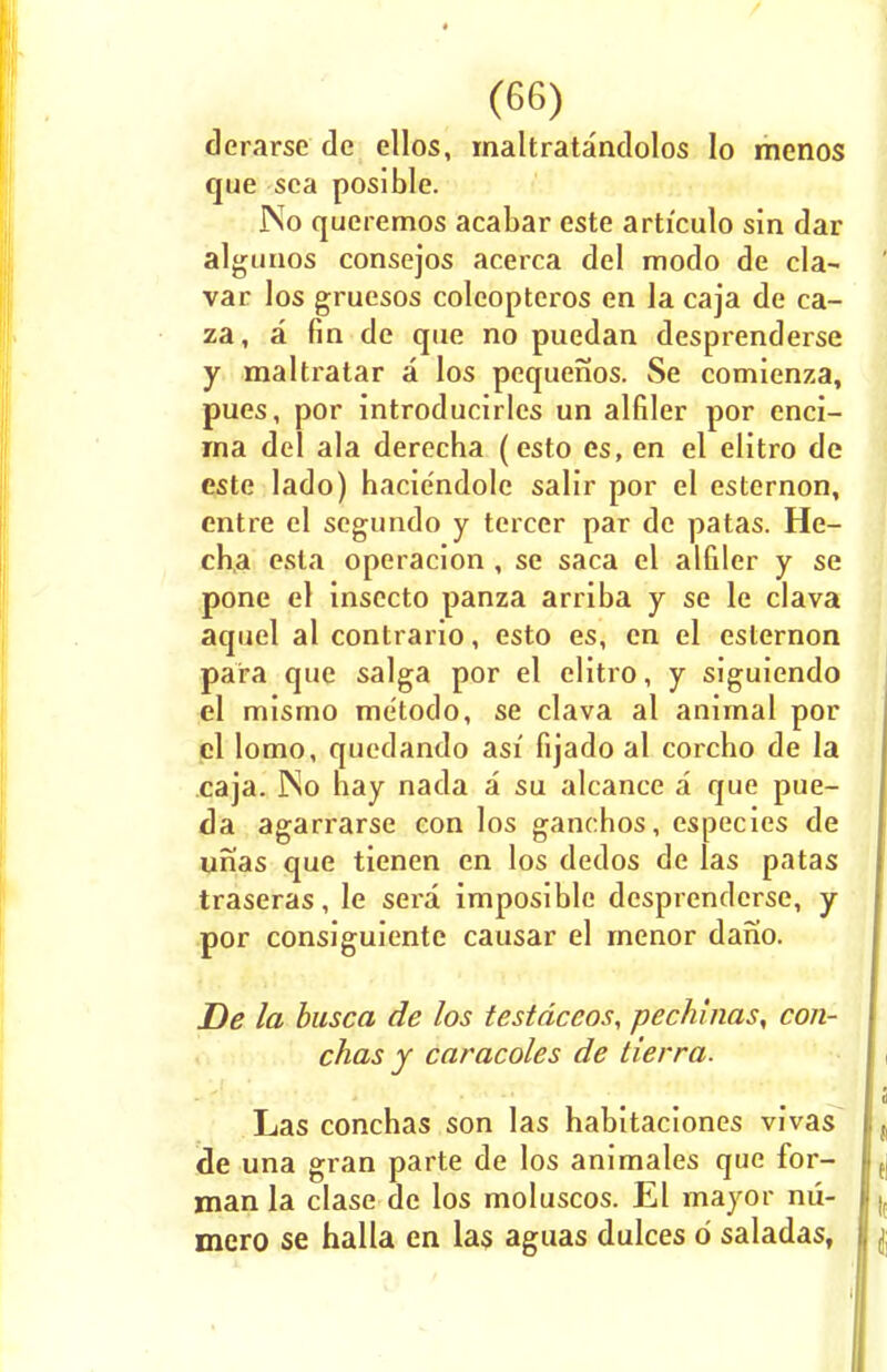 derarsc de ellos, maltratandolos lo menos que sea posible. No queremos acabar este articulo sin dar algunos consejos acerca del modo de cla- var Jos gruesos coleopteros en la caja de ca- za, a fin de que no puedan desprenderse y maltratar a los pequenos. Se comienza, pues, por introducirles un alfiler por enci- rna del ala derecha (esto es, en el elitro de este lado) haciendolc salir por el esternon, cntre el segundo y tercer par de patas. He- cha esta operacion , se saca el alfiler y se pone el insccto panza arriba y se le clava aquel al contrario, esto es, en el esternon para que saiga por el elitro, y siguiendo el mismo metodo, se clava al animal por el lomo, quedando asi fijado al corcho de la caja. ]No hay nada a su alcance a que pue- da agarrarse con los ganchos, especies de unas que tienen en los dedos de las patas traseras, le sera imposiblc desprenderse, y por consiguiente causar el menor dano. De la busca de los testdceos, pechuias, con- chas y caracoles de tierra. Las conchas son las habitaciones vivas , de una gran parte de los animales que for- L man la clase de los moluscos. El mayor nu- (f mero se halla en las aguas dulces d saladas, {