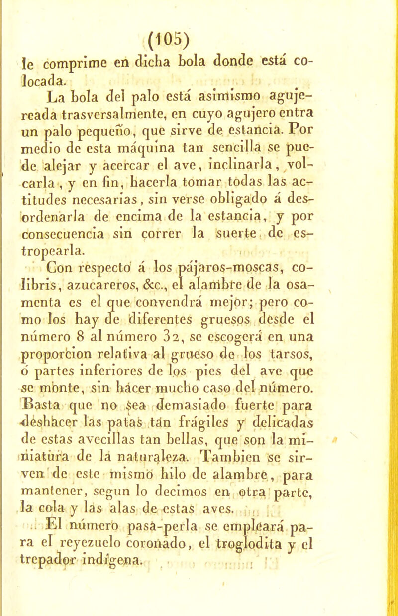 le comprime en dicha bola donde esta co- locada. La tola del palo esta asimismo aguje- reada trasversalmente, en cuyo agujero entra un palo pequeiio, que sirve de estancia. Por medio de esta maquina tan sencilla se pue- de alejar y acercar el ave, inclinarla, vol- carla , y en fin, haeerla tomar todas las ac- titudes necesarias, sin verse obligado a des- ordenarla de encima de la estancia, y por consecuencia sin correr la suerte de es- tropearla. Gon respecto a los pajaros-moscas, co- libris, azucareros, &c, el alanibfe de la osa- mcnta es el que convendra mejor; pero co- mo los hay de diferentes gruesps desde el numero 8 al niimero 32, se eseogeri en una proporcion relativa al grueso de los tarsos, d partes inferiores de los pies del ave que se monte, sin hacer mucho caso del numero. Basta que no Sea demasiado fuerte para ■deshacer las patas tan fragiles y delicadas de estas avecillas tan bellas, que son la mi- riiatura de la naturaleza. Tambien se sir- ven de este mismb hilo de alambre , para mantener, segun lo decimos en otra parte, la eola y las alas de estas aves. EI niimerb pasa-perla se empleara pa- ra el reyezuclo coroiiado, el troglodita y el trepador ind/gena.