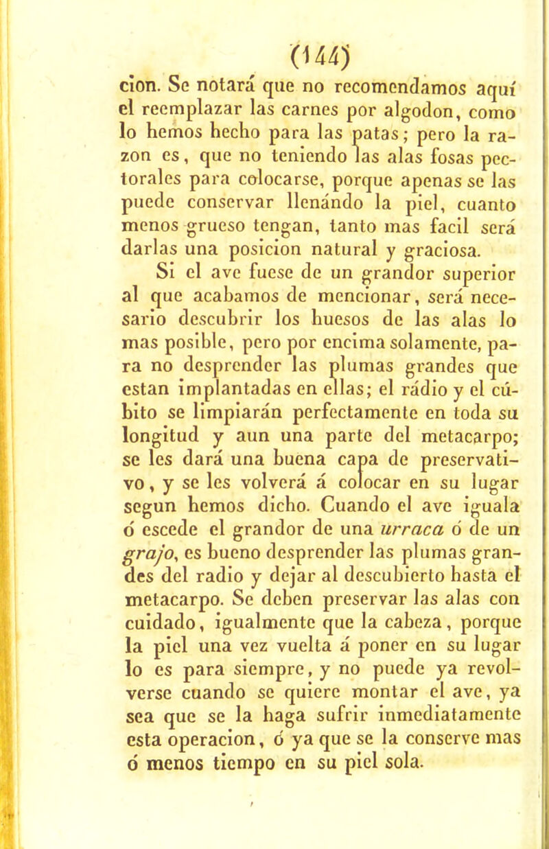 cion. Se notara que no recomcndamos aquf el reemplazar las carries por algodon, como lo hemos hecho para las patas; pero la ra- zon es, que no teniendo las alas fosas pcc- torales para colocarse, porque apenas se las puede conservar llenando la piel, cuanto menos grueso tengan, tanto mas facil sera darlas una posicion natural y graciosa. Si el ave fuese de un grandor superior al que acabamos de mencionar, sera nece- sario descubrir los huesos de las alas lo mas posible, pero por eneima solamente, pa- ra no desprcnder las plumas grandes que estan implantadas en ellas; el radio y el cii- bito se limpiaran perfectamente en toda su longitud y aim una parte del metacarpo; se les dara una buena capa de preservati- ve, y se les volvera a colocar en su lugar segun hemos dicho. Cuando el ave iguala d escede el grandor de una urraca 6 de un grajo, es bueno desprender las plumas gran- des del radio y dejar al descubierto hasta el metacarpo. Se deben preservar las alas con cuidado, igualmentc que la cabeza, porque la piel una vez vuelta a poner en su lugar lo es para siempre, y no puede ya revol- verse cuando se quiere montar el ave, ya sea que se la haga sufrir inmediatamente esta operacion, o ya que se la conserve mas d menos tiempo en su piel sola.