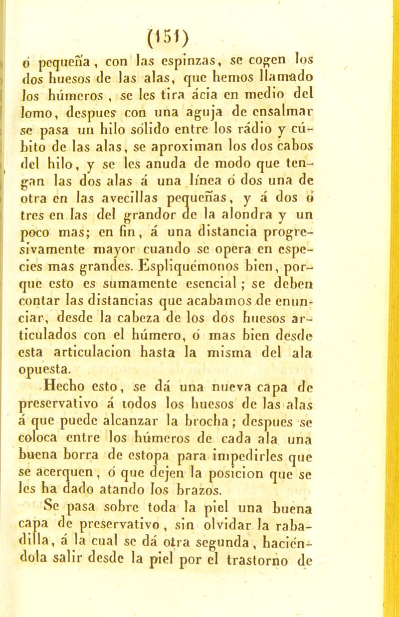 d pequena, con las cspinzas, se cogen los dos huesos de las alas, que hemos llamado Jos hiimcros , sc les tira acia en medio del lomo, despues con una aguja de cnsalmar se pasa un hilo sdlido entre los radio y cii- bito de las alas, se aproximan los dos cabos del hilo, y se les anuda de modo que ten- gan las dos alas a una h'nea d dos una de otra en las avecillas pequenas, y a dos 6 tres en las del grandor de la alondra y un poco mas; en fin, a una distancia progre- sfvamente mayor cuando se opera en cspc- cies mas grandes. Esplique'monos bicn, por- que csto es sumamente esencial; se deben contar las distancias que acabamos de enun- ciar, desde la cabeza de los dos huesos ar- ticulados con el humero, d mas bien desde csta articulacion hasta la misma del ala opuesta. Hecho esto, se da una nueva capa de preservativo a todos los huesos de las alas a que puede alcanzar la brocha; despues se coloca entre los humeros de cada ala una buena borra de estopa para impedirles que se acerquen, d que dejen la posicion que se les ha dado atando los brazos. Se pasa sobre toda la piel una buena capa de preservativo, sin olvidar la raba- dilla, a la cual se da otra segunda, hacicn- dola salir desde la piel por el trastorno de