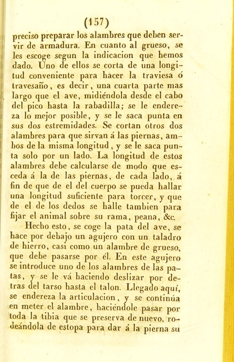 preciso preparar los alambres que debcn ser- vir de armadura. En cuanto al grueso, se les escoge segun la indicacion que hemos dado. Uno de ellos se corta de una longi- tud conveniente para hacer la traviesa o travesano, es decir, una cuarta parte mas largo que el ave, midie'ndola desde el cabo del pico hasta la rabadilla; se le endere- za lo mejor posible, y se le saca punta en sus dos estremidades. Se cortan otros dos alambres para que sirvan a las piernas, am- bos de la misma longitud , y se le saca pun- ta solo por un lado. La longitud de estos alambres debe calcularse de modo que es- ccda a la de las piernas, de cada lado, a fin de que de el del cuerpo se pueda hallar una longitud suficiente para torcer, y que de el de los dedos se balle tambien para fijar el animal sobre su rama, peana, &c Hecho esto, se cogc la pata del ave, se hace por debajo un agujero con un taladro de hierro, casi como un alambre de grueso, que debe pasarse por el. En este agujero se introduce uno de los alambres de las pa- tas, y se le va baciendo deslizar por de- tras del tarso basta el talon. Llegado aqui, se endereza la articulacion, y se continua en meter el alambre, haciendole pasar por toda la tibia que se preserva de nuevo, ro- ueandola de estopa para dar a la pierna su