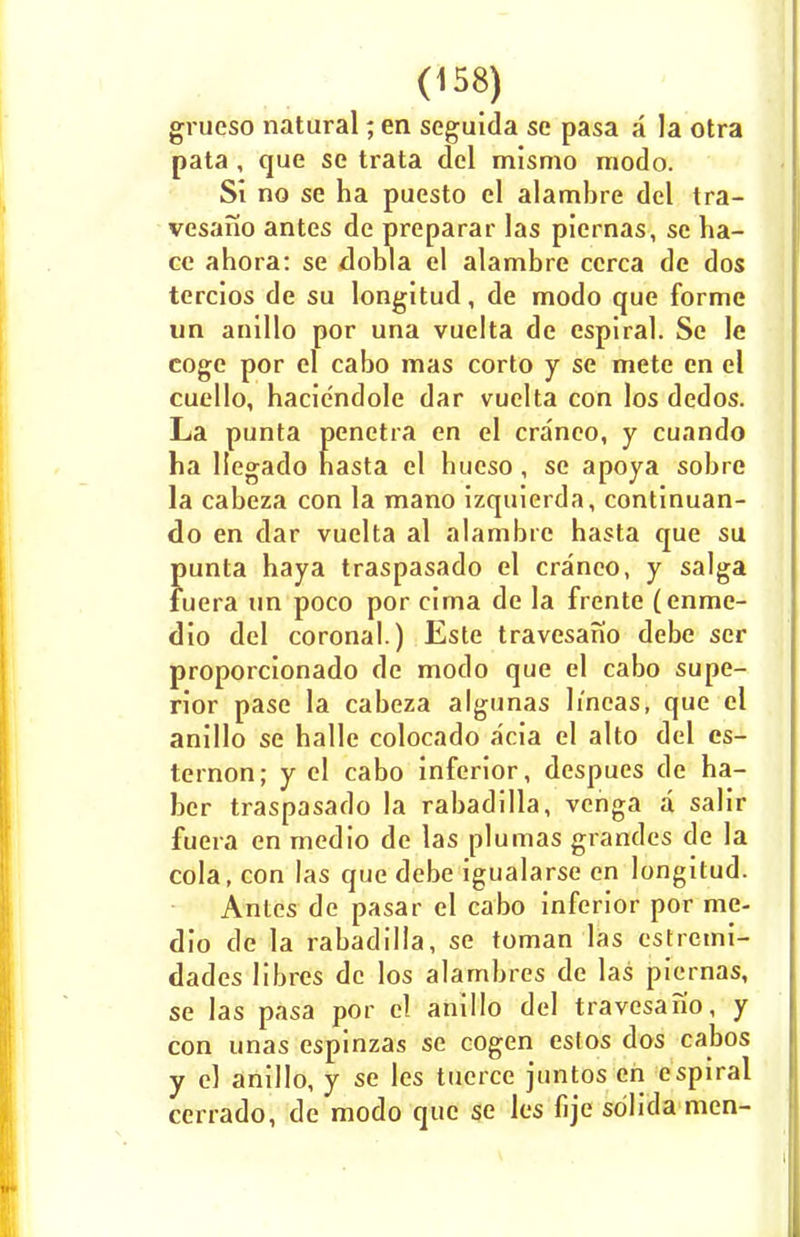 grueso natural; en scguida se pasa a la otra pata , que se trata del mismo modo. Si no se ha puesto el alambre del tra- vesano antes de preparar las piernas, se ha- ce ahora: se dobla el alambre ccrca de dos tercios de su longitud, de modo que forme un anillo por una vuelta de espiral. Se le coge por el cabo mas corto y se mete en el cuello, hacicndole dar vuelta con los dedos. La punta penetra en el craneo, y cuando ha liegado hasta el hucso, se apoya sobre la cabeza con la mano izquierda, continuan- do en dar vuelta al alambre hasta que su punta haya traspasado el craneo, y saiga fuera un poco por cima de la frente (enme- dio del coronal.) Este travesanio debe ser proporcionado de modo que el cabo supe- rior pase la cabeza algunas h'neas, que el anillo se halle colocado acia el alto del cs- ternon; y el cabo inferior, despues de ha- ber traspasado la rabadilla, venga a salir fuera en medio de las piumas grandcs de la cola, con las que debe igualarse en longitud. Antes de pasar el cabo inferior por me- dio de la rabadilla, se toman las estrcmi- dades libres dc los alambres de las piernas, se las pasa por el anillo del travesano, y con unas espinzas se cogen estos dos cabos y el anillo, y se les tucrce juntos en espiral cerrado, de modo que se les fije sdlida men-