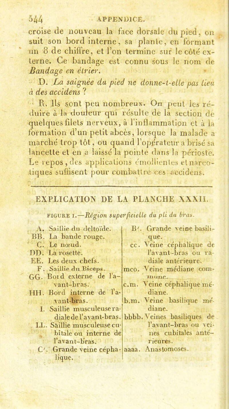 croise de nouveau la face dorsale du pied, on suit son bord interne, sa plante, en formant un 8 de chiffre, et l’on termine sur le côte ex- terne. Ce bandage est connu sous le nom de Bandage en étrier. D. La saignée du pied ne donne-t-elle pas lieu à des accidens ? R. Ils sont peu nombreux. On peut les ré- duire à la douleur qui résulte de la section de quelques filets nerveux, à 1 inflammation et à la formation d’un petit abcès, lorsque la malade a marché trop tôt, ou quand l’opérateur a brisé sa lancette et en a laissé la pointe dans la périoste. Le repos, des applications émollientes et narco- tiques suffisent pour combattre ces accidens. EXPLICATION DE LA PLANCHE XXXII. figure i.—Région superficielte du pli du bras. A. Saillie du deltoïde. BB. La bande rouge. C. Le nœud. DD. La rosette. EE. Les deux chefs. F. Saillie du Biceps. GG. Boid externe de l’a- vant-bras. HH. Bord interne de l’a- vant-bras. I. Saillie musculeuse ra- diale de l’avant-bras. I.L. Saillie musculeuse cu- bitale ou interne de l’avant-bras. C'.‘ Grande veine cépha- lique. ■ B'. Grande veine basili- que. cc. Veine céphalique de l’avant-bras ou ra- diale antérieure. mco. Veine médiane com- mune. c.m. Veine céphalique mé- diane. b.m. Veine basilique mé- diane. bbbb. Vciues basiliques de l’avant-bras ou vei- nes cubitales anté- rieures. aaaa. Anastomoses.