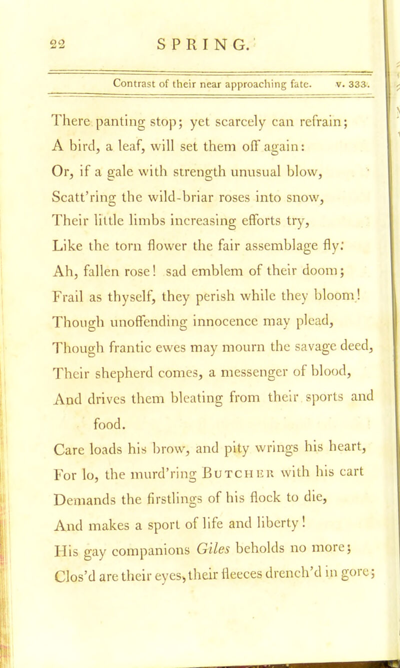 Contrast of their near approaching fate. v. 333. There panting stop; yet scarcely can refrain; A bird, a leaf, will set them off again: Or, if a gale with strength unusual blow, Scatt'ring the wild-briar roses into snow, Their little limbs increasing efforts try, Like the torn flower the fair assemblage fly; Ah, fallen rose! sad emblem of their doom; Frail as thyself, they perish while they bloom! Though unoffending innocence may plead, Though frantic ewes may mourn the savage deed, Their shepherd comes, a messenger of blood, And drives them bleating from their sports and food. Care loads his brow, and pity wrings his heart, For lo, the murd'ring Butcher with his cart Demands the firstlings of his flock to die, And makes a sport of life and liberty! His gay companions Giles beholds no more; Clos'd are their eyes, their fleeces drench'd in gore ;