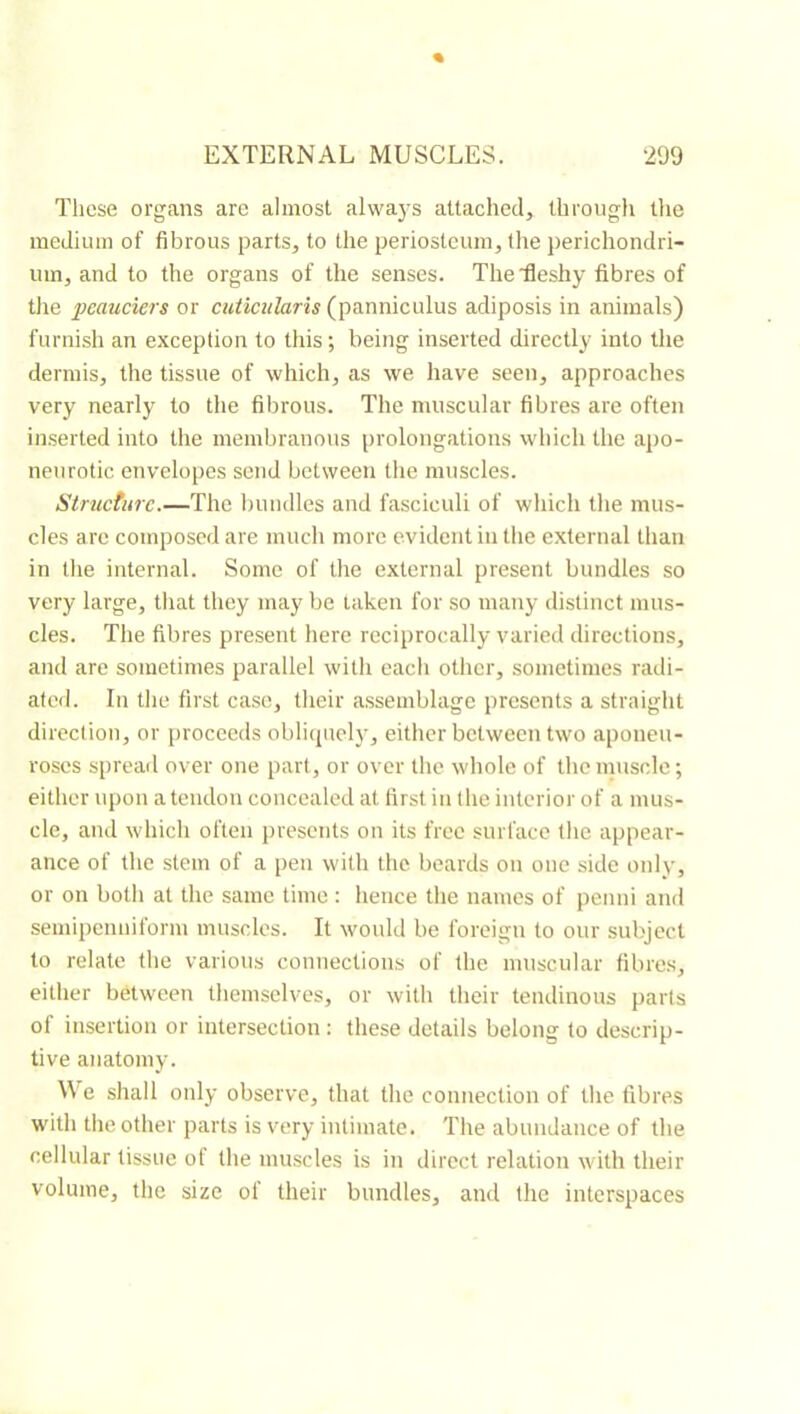 Tliese organs are almost always attached, throiigli the medium of fibrous parts, to the periosteum, tlie perichondri- um, and to the organs of the senses. The fleshy fibres of tlie pcauciers or cuticularis (panniculus adiposis in animals) furnish an exception to this; being inserted directly into the dermis, the tissue of which, as we have seen, approaches very nearly to the fibrous. The muscular fibres are often inserted into the membranous prolongations which the apo- neurotic envelopes send between the muscles. Slmcturc.—The l)uudles and fasciculi of which the mus- cles are composed are much more evident in the external than in the internal. Some of the external present bundles so very large, that they may be taken for so many distinct mus- cles. The fibres present here reciprocally varied directions, and are sometimes parallel with eacli other, sometimes radi- ated. In the first case, their assemblage presents a straight direction, or proceeds oblitjuely, either between two aponeu- roses spread over one part, or over the whole of thenniscle; either upon a tendon concealed at first in the interior of a mus- cle, and which often presents on its free surface the appear- ance of the stem of a pen with the beards on one side only, or on both at the same time : hence the names of penni and semipenniform muscles. It would be foreigu to our subject to relate the various connections of the muscular fibres, either between themselves, or with their tendinous parts of insertion or intersection : these details belong to descrip- tive anatomy. We shall only observe, that the connection of the fibres with the other parts is very intimate. The abundance of the cellular tissue ol the muscles is in direct relation with their volume, the size of their bundles, and the interspaces