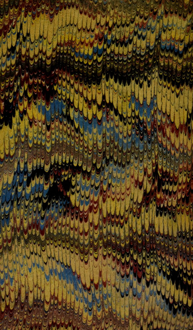 No text description is available for this image