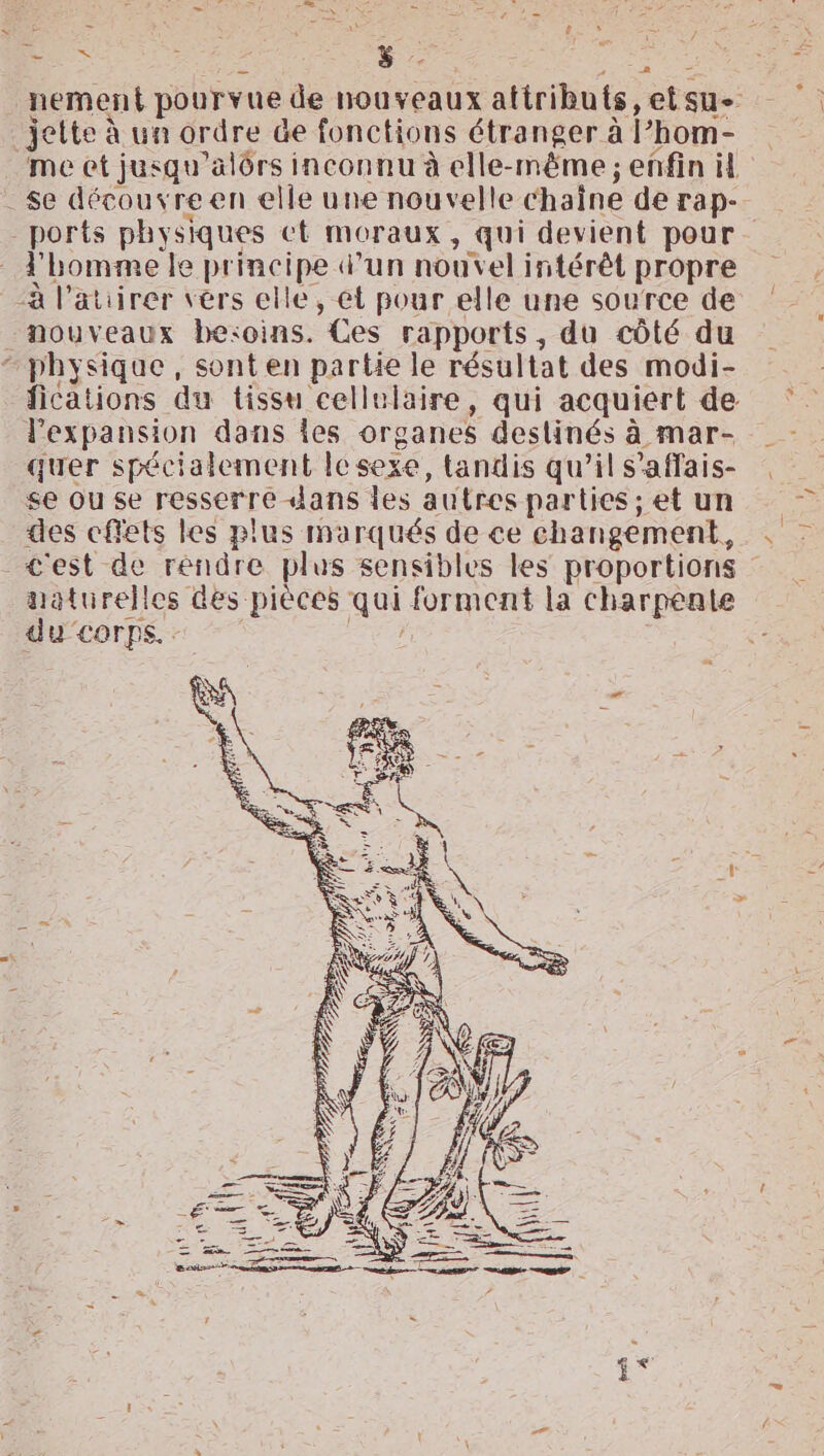 os . ne nement pourvue de nouveaux attributs, etsu- jette à un ordre de fonctions étranger à l’hom- me et jusqu'alôrs inconnu à elle-même ; enfin il . Se découvreen elle une nouvelle chaîne de rap- _ports physiques ct moraux, qui devient pour l'homme le principe d’un nouvel intérêt propre -à l’atiirer vérs elle, et pour elle une source de nouveaux bexoins. Ces rapports, du côté du “physique, sont en partie le résultat des modi- fications du tissu cellelaire, qui acquiert de l'expansion dans les organes deslinés à mar- quer spécialement Îesexe, tandis qu’il s'affais- se ou se resserre dans les autres parties ; et un des effets les plus marqués de ce changement, c'est de rendre plus sensibles les proportions taturelles des pièces qui forment la charpente du corps. Va j<