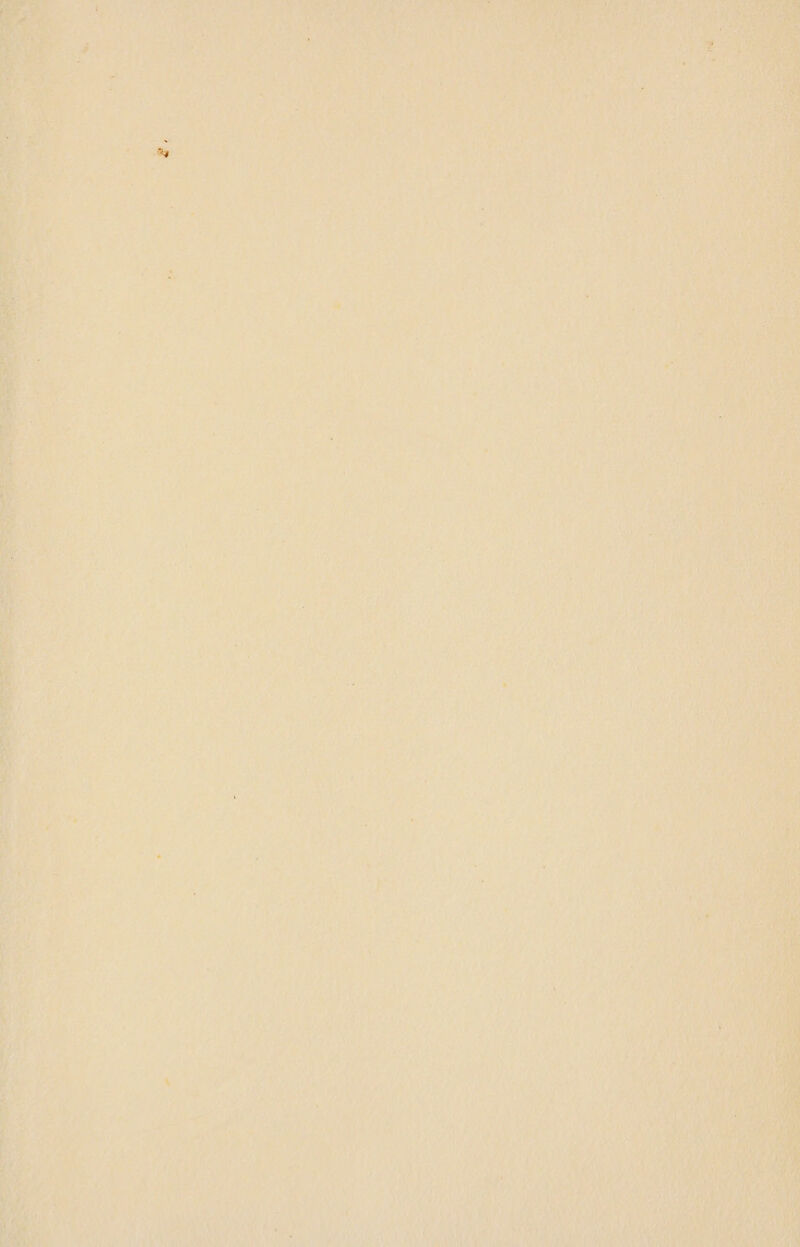 th Beate : ae ee Bra} | (*) t i