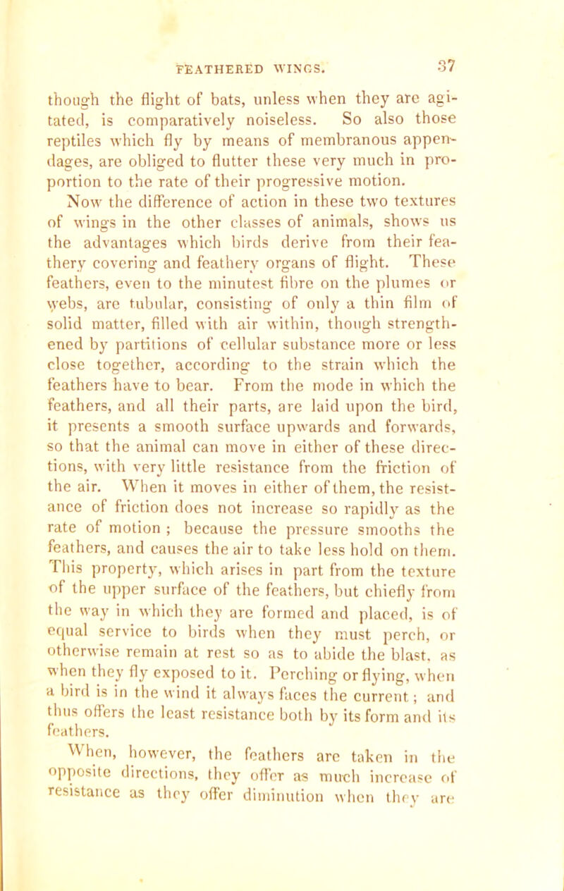 FEATHERED WINGS. though the flight of bats, unless when they are agi- tated, is comparatively noiseless. So also those reptiles which fly by means of membranous appen- dages, are obliged to flutter these very much in pro- portion to the rate of their progressive motion. Now the difference of action in these two textures of wings in the other classes of animals, shows us the advantages which birds derive from their fea- thery covering and feathery organs of flight. These feathers, even to the minutest fibre on the plumes or vvebs, are tubular, consisting of only a thin film of solid matter, filled with air within, though strength- ened by partitions of cellular substance more or less close together, according to the strain which the feathers have to bear. From the mode in which the feathers, and all their parts, are laid upon the bird, it presents a smooth surface upwards and forwards, so that the animal can move in either of these direc- tions, with very little resistance from the friction of the air. When it moves in either of them, the resist- ance of friction does not increase so rapidly as the rate of motion ; because the pressure smooths the feathers, and causes the air to take less hold on them. This property, which arises in part from the texture of the upper surface of the feathers, but chiefly from the way in which they are formed and placed, is of equal service to birds when they must perch, or otherwise remain at rest so as to abide the blast, as when they fly exposed to it. Perching or flying, when a bird is in the wind it always faces the current; and thus offers the least resistance both by its form and its feathers. When, however, the feathers are taken in the opposite directions, they offer as much increase of resistance as they offer diminution when they are
