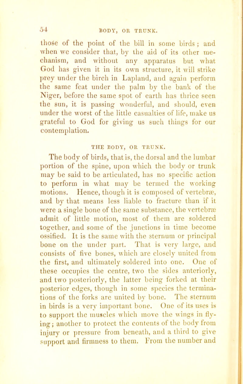 BODY, OR TRUNK. those of the point of the bill in some birds ; and when we consider that, by the aid of its other me- chanism, and without any apparatus but what God has given it in its own structure, it will strike prey under the birch in Lapland, and again perform the same feat under the palm by the bank of the Niger, before the same spot of earth has thrice seen the sun, it is passing wonderful, and should, even under the worst of the little casualties of life, make us grateful to God for giving us such things for our contemplation. THE BODY, OR TRUNK. The body of birds, that is, the dorsal and the lumbar portion of the spine, upon which the body or trunk may be said to be articulated, has no specific action to perform in what may be termed the working motions. Hence, though it is composed of vertebrae, and by that means less liable to fracture than if it were a single bone of the same substance, the vertebrae admit of little motion, most of them are soldered together, and some of the junctions in time become ossified. It is the same with the sternum or principal bone on the under part. That is very large, and consists of five bones, which are closely united from the first, and ultimately soldered into one. One of these occupies the centre, two the sides anteriorly, and two posteriorly, the latter being forked at their posterior edges, though in some species the termina- tions of the forks are united by bone. The sternum in birds is a very important bone. One of its uses is to support the muscles which move the wings in dy- ing; another to protect the contents of the body from injury or pressure from beneath, and a third to give support and firmness to them. From the number and