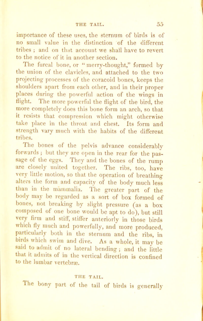 importance of these uses, the sternum of birds is of no small value in the distinction of the different tribes ; and on that account we shall have to revert to the notice of it in another section. The furcal bone, or “ merry-thought,” formed by the union of the clavicles, and attached to the two projecting processes of the coracoid bones, keeps the shoulders apart from each other, and in their proper places during the powerful action of the wings in flight. The more powerful the flight of the bird, the more completely does this bone form an arch, so that it resists that compression which might otherwise take place in the throat and chest. Its form and strength vary much with the habits of the different tribes. The bones of the pelvis advance considerably forwards ; but they are open in the rear for the pas- sage of the eggs. They and the bones of the rump are closely united together. The ribs, too, have very little motion, so that the operation of breathing alters the form and capacity of the body much less than in the mammalia. The greater part of the body may be regarded as a sort of box formed of bones, not breaking by slight pressure (as a box composed of one bone would be apt to do), but still very firm and stiff, stiffer anteriorly in those birds which fly much and powerfully, and more produced, particularly both in the sternum and the ribs, in birds which swim and dive. As a whole, it may be said to admit of no lateral bending ; and the little that it admits of in the vertical direction is confined to the lumbar vertebras. THE TAIL. The bony part of the tail of birds is generally