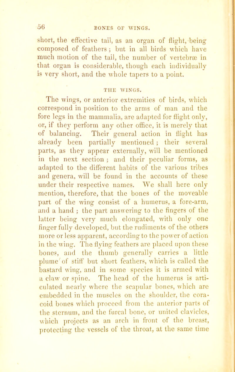 short, the effective tail, as an organ of flight, being composed of feathers ; but in all birds which have much motion of the tail, the number of vertebrae in that organ is considerable, though each individually is very short, and the whole tapers to a point. THE WINGS. The wings, or anterior extremities of birds, which correspond in position to the arms of man and the fore legs in the mammalia, are adapted for flight only, or, if they perform any other office, it is merely that of balancing. Their general action in flight has already been partially mentioned ; their several parts, as they appear externally, will be mentioned in the next section ; and their peculiar forms, as adapted to the different habits of the various tribes and genera, will be found in the accounts of these under their respective names. We shall here only mention, therefore, that the bones of the moveable part of the wing consist of a humerus, a fore-arm, and a hand ; the part answering to the fingers of the latter being very much elongated, with only one finger fully developed, but the rudiments of the others more or less apparent, according to the power of action in the wing. The flying feathers are placed upon these bones, and the thumb generally carries a little plume'of stiff but short feathers, which is called the bastard wing, and in some species it is armed with a claw or spine. The head of the humerus is arti- culated nearly where the scapular bones, which are embedded in the muscles on the shoulder, the cora- coid bones which proceed from the anterior parts of the sternum, and the furcal bone, or united clavicles, which projects as an arch in front of the breast, protecting the vessels of the throat, at the same time