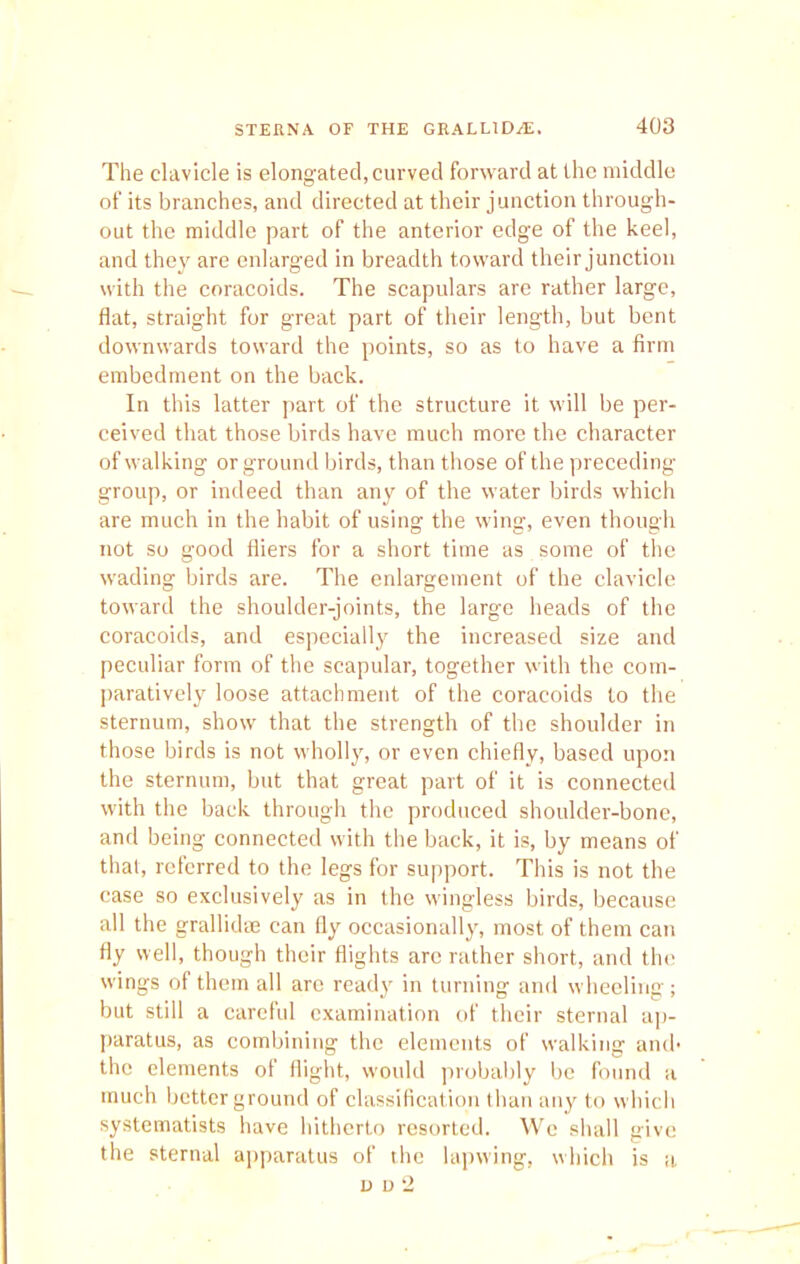 The clavicle is elongated, curved forward at the middle of its branches, and directed at their junction through- out the middle part of the anterior edge of the keel, and they are enlarged in breadth toward their junction with the coracoids. The scapulars are rather large, flat, straight for great part of their length, but bent downwards toward the points, so as to have a firm embedment on the back. In this latter part of the structure it will be per- ceived that those birds have much more the character of walking or ground birds, than those of the preceding- group, or indeed than any of the water birds which are much in the habit of using the wing, even though not so good fliers for a short time as some of the wading birds are. The enlargement of the clavicle toward the shoulder-joints, the large heads of the coracoids, and especially the increased size and peculiar form of the scapular, together with the com- paratively loose attachment of the coracoids to the sternum, show that the strength of the shoulder in those birds is not wholly, or even chiefly, based upon the sternum, but that great part of it is connected with the back through the produced shoulder-bone, and being connected with the back, it is, by means of that, referred to the legs for support. This is not the case so exclusively as in the wingless birds, because all the grallidse can fly occasionally, most of them can fly well, though their flights are rather short, and the wings of them all are ready in turning and wheeling; but still a careful examination of their sternal ap- paratus, as combining the elements of walking and- the elements of flight, would probably be found a much better ground of classification than any to which systematists have hitherto resorted. We shall give the sternal apparatus of the lapwing, which is a u u'2