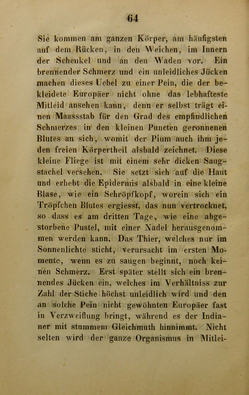 Sie kommen am ganzen Körper, am häufigsten auf dem Rücken, in den Weichen, im Innern der Schenkel und an den Waden vor. Ein brennender Schmerz und ein unleidliches Jucken machen dieses Uebel zu einer Pein, die der be- kleidete Europäer nicht ohne das lebhafteste Mitleid ansehen kann, denn er selbst trägt ei- nen Maassstab für den Grad des empfindlichen Schmerzes in den kleinen Puncten geronnenen Blutes an sich, womit der Pium auch ihm je- den freien Körpertheil alsbald zeichnet. Diese kleine Fliege ist mit einem sehr dicken Saug- stachel versehen. Sie setzt sich auf die Haut und erhebt die Epidermis alsbald in eine kleine Blase, wie ein Schröpfkopf, worein sich ein Tröpfchen Blutes ergiesst, das nun vertrocknet, so dass es am dritten Tage, wie eine abge- storbene Pustel, mit einer Nadel herausgenom- men werden kann. Das Thier, welches nur im Sonnenlichte sticht, verursacht im ersten Mo- mente, wenn es zu saugen beginnt, noch kei- nen Schmerz. Erst später stellt sich ein bren- nendes Jucken ein, welches im Verhältniss zur Zahl der Stiche höchst unleidlich wird und den an solche Pein nicht gewöhnten Europäer fast in Verzweiflung bringt, während es der India- ner mit stummem Gleichmuth hinnimmt. Nicht selten wird der ganze Organismus in Mitlei-