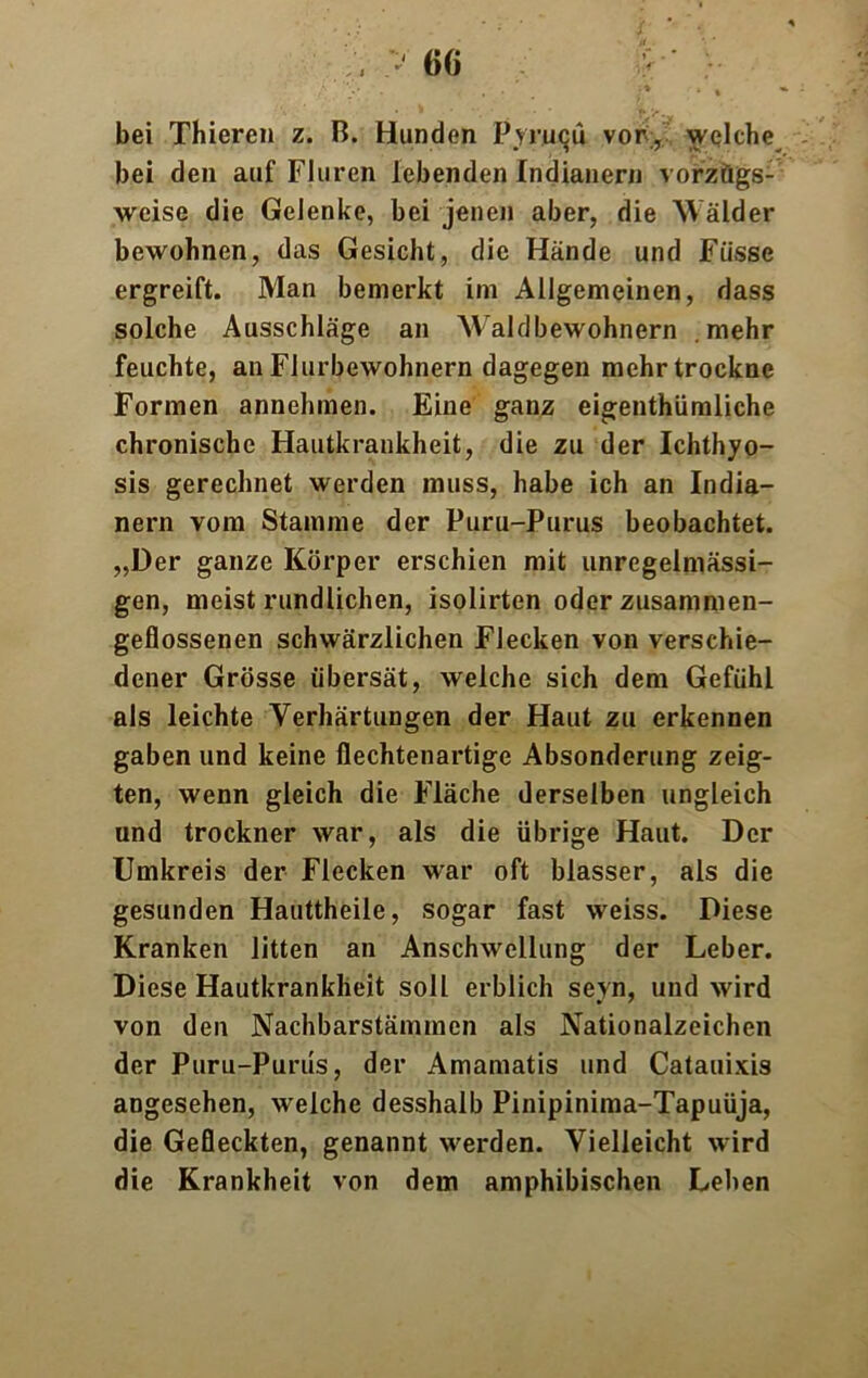 bei Thieren z. B. Hunden Pyrucii vor;, welche bei den auf Fluren lebenden Indianern vorzugs- weise die Gelenke, bei jenen aber, die Wälder bewohnen, das Gesicht, die Hände und Fiisse ergreift. Man bemerkt im Allgemeinen, dass solche Ausschläge an Waldbewohnern mehr feuchte, an Flurbewohnern dagegen mehr trockne Formen annehmen. Eine ganz eigentümliche chronische Hautkrankheit, die zu der Ichthyo- sis gerechnet werden muss, habe ich an India- nern vom Stamme der Puru-Purus beobachtet. „Der ganze Körper erschien mit unregelmässi- gen, meist rundlichen, isolirten oder zusammen- geflossenen schwärzlichen Flecken von verschie- dener Grösse übersät, welche sich dem Gefühl als leichte Verhärtungen der Haut zu erkennen gaben und keine flechtenartige Absonderung zeig- ten, wenn gleich die Fläche derselben ungleich und trockner war, als die übrige Haut. Der Umkreis der Flecken war oft blasser, als die gesunden Hauttheile, sogar fast weiss. Diese Kranken litten an Anschwellung der Leber. Diese Hautkrankheit soll erblich sevn, und wird von den Nachbarstämmen als Nationalzeichen der Puru-Purüs, der Amamatis und Catauixis angesehen, welche desshalb Pinipinima-Tapuüja, die Gefleckten, genannt werden. Vielleicht wird die Krankheit von dem amphibischen Lehen