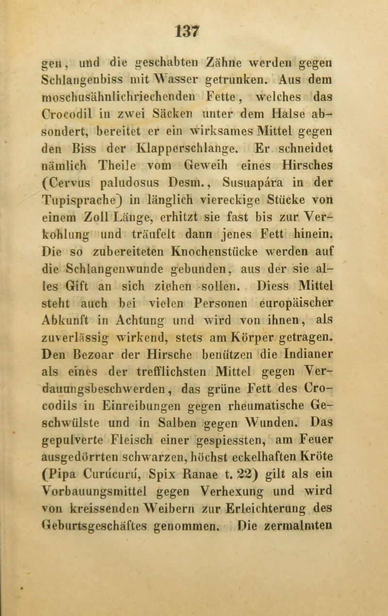 gen, mul die geschabten Zähne werden gegen Schlangenbiss mit Wasser getrunken. Aus dein moschusähnlichriechenden Fette, welches das CVocodil in zwei Säcken unter dem Halse ab- sondert, bereitet er ein wirksames Mittel gegen den Biss der Klapperschlange. Er schneidet nämlich Theile vom Geweih eines Hirsches (Cervus paludosus Desm., Susuapara in der Tupisprache) in länglich viereckige Stücke von einem Zoll Länge, erhitzt sie fast bis zur Ver- kohlung und träufelt dann jenes Fett hinein. Die so zubereiteten Knochenstücke werden auf die Schlangenwunde gebunden, aus der sie al- les Gift an sich ziehen sollen. Diess Mittel steht auch bei vielen Personen europäischer Abkunft in Achtung und wird von ihnen, als zuverlässig wirkend, stets am Körper getragen. Den Bezoar der Hirsche benützen die Indianer als eines der trefflichsten Mittel gegen Ver- dauungsbeschwerden , das grüne Fett des Cro- codils in Einreibungen gegen rheumatische Ge- schwülste und in Salben gegen Wunden. Das gepulverte Fleisch einer gespiessten, am Feuer ausgedörrten schwarzen, höchst eckelhaften Kröte (Pipa Curucuru, Spix Ranae t. 22) gilt als ein Vorbauungsmittel gegen Verhexung und wird von kreissenden Weibern zur Erleichterung des Geburtsgeschäftes genommen. Die zermalmten