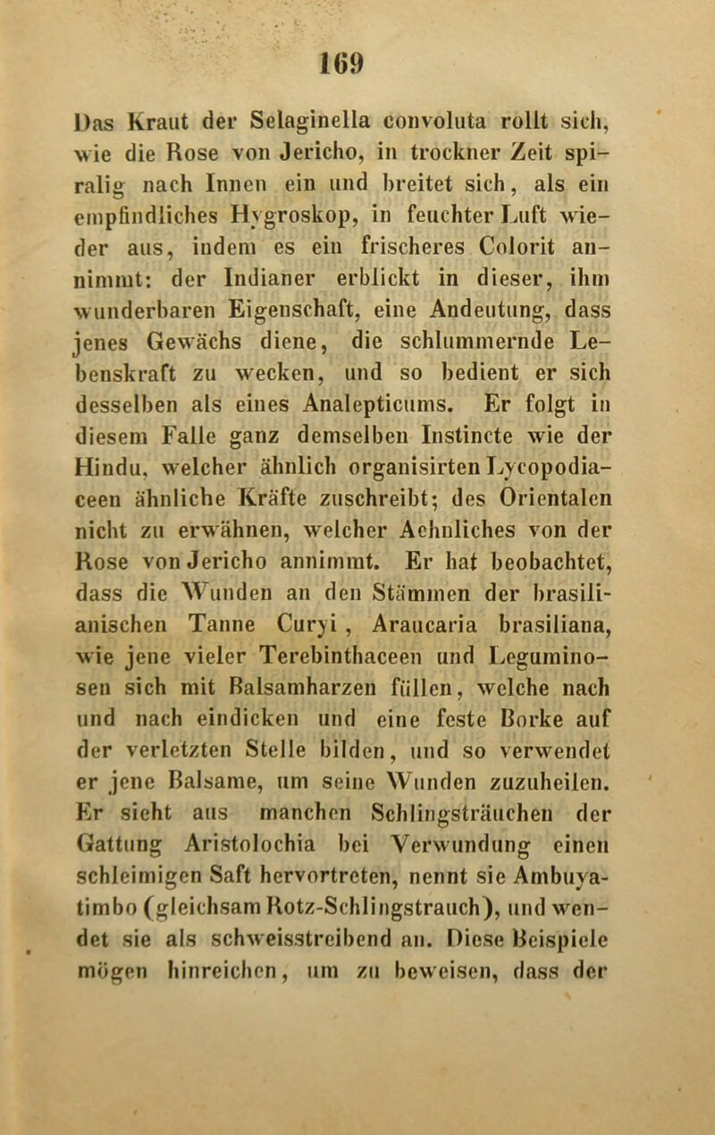 Das Kraut der Selaginella eonvoluta rollt sieh, wie die Rose von Jericho, in trockner Zeit spi- ralig nach Innen ein und breitet sich, als ein empfindliches Hygroskop, in feuchter Luft w ie- der aus, indem es ein frischeres Colorit an- nimmt: der Indianer erblickt in dieser, ihm wunderbaren Eigenschaft, eine Andeutung, dass jenes Gewächs diene, die schlummernde Le- benskraft zu wecken, und so bedient er sich desselben als eines Analepticums. Er folgt in diesem Falle ganz demselben Instinete wie der Hindu, welcher ähnlich organisirten Lyeopodia- ceen ähnliche Kräfte zuschreibt; des Orientalen nicht zu erwähnen, welcher Achnliches von der Rose von Jericho annimmt. Er hat beobachtet, dass die Wunden an den Stämmen der brasili- anischen Tanne Curyi , Araucaria brasiliana, wie jene vieler Terebinthaceen und Legumino- sen sich mit Balsamharzen füllen, welche nach und nach eindicken und eine feste Borke auf der verletzten Stelle bilden, und so verwendet er jene Balsame, um seine Wunden zuzuheilen. Er sieht aus manchen Schl in «-Sträuchen der © Gattung Aristolochia bei Verwundung einen schleimigen Saft hervortreten, nennt sie Ambuya- timbo (gleichsam Rotz-Schlingstrauch), und wen- det sie als schweisstreibend an. Diese Beispiele mögen hinreichen, um zu beweisen, dass der