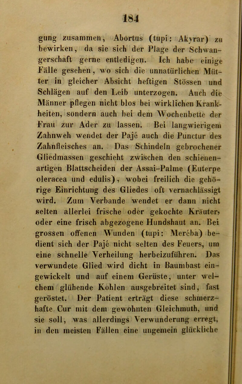 gung zusammen, Abortus (tupi: Akyrar) zu bewirken, da sie sich der Plage der Schwan- gerschaft gerne entledigen. Ich habe einige Fälle gesehen, wo sich die unnatürlichen Müt- ter in gleicher Absicht heftigen Stössen und Schlägen auf den Leib unterzogen. Auch die Männer pflegen nicht blos bei wirklichen Krank- heiten, sondern auch bei dem AVochenbette der Frau zur Ader zu lassen. Bei langwierigem Zahnweh wendet der Paje auch die Punctur des Zahnfleisches an. Das Schindeln gebrochener Gliedmassen geschieht zwischen den schienen- artigen Blattscheiden der Assai-Palme (Euterpe oleracea und edulis), wobei freilich die gehö- rige Einrichtung des Gliedes oft vernachlässigt wird. Zum Verbände wendet er dann nicht selten allerlei frische oder gekochte Kräuter* oder eine frisch abgezogene Hundshaut an. Bei grossen offenen Wunden (tupi: Mereba) be- dient sich der Paje uicht selten des Feuers, um eine schnelle Verheilung herbeizuführen. Das verwundete Glied wird dicht in Baumbast ein- gewickelt und auf einem Gerüste, unter wel- chem glühende Kohlen ausgebreitet sind, fast geröstet. Der Patient erträgt diese schmerz- hafte Cur mit dem gewohnten Gleichmuth, und sie soll, was allerdings Verwunderung erregt, in den meisten Fällen eine ungemein glückliche