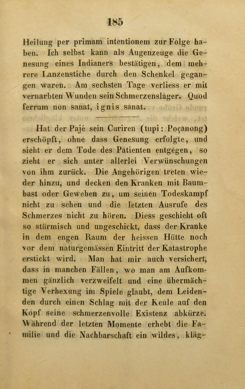 Heilung per primam intentionem zur Folge ha- ben. Ich selbst kann als Augenzeuge die Ge- nesung eines Indianers bestätigen, dem meh- rere Lanzenstiche durch den Schenkel gegan- gen waren. Am sechsten Tage verliess er mit vernarbten Wunden sein Schmerzenslager. Quod ferrum non sanat, ignis sanat. Hat der Paje sein Curiren (tupi: Pocanong) erschöpft, ohne dass Genesung erfolgte, und sieht er dem Tode des Patienten entgegen, so zieht er sich unter allerlei Verwünschungen von ihm zurück. Die Angehörigen treten wie- der hinzu, und decken den Kranken mit Baum- bast oder Geweben zu, um seinen Todeskampf nicht zu sehen und die letzten Ausrufe des Schmerzes nicht zu hören. Diess geschieht oft so stürmisch und ungeschickt, dass der Kranke in dem engen Raum der heissen Hütte noch vor dem naturgemässen Eintritt der Katastrophe erstickt wird. Man hat mir auch versichert, dass in manchen Fällen, wo man am Aufkom- men gänzlich verzweifelt und eine übermäch- tige Verhexung im Spiele glaubt, dem Leiden- den durch einen Schlag mit der Keule auf den Kopf seine schmerzenvolle Existenz abkürze. Während der letzten Momente erhebt die Fa- milie und die Nachbarschaft ein wildes, kläg-