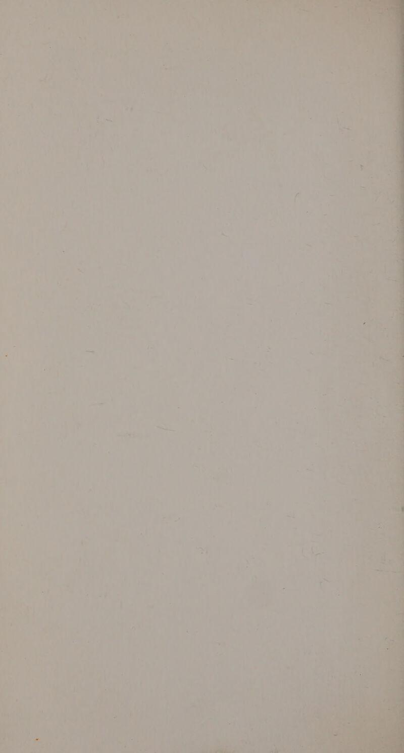 2s ' » Th ie _ S ' rh a . * s y AD i: iy ere “2 oon PAD eS © Wk an. Re - b : = 06 5s % 7 —_ a 7 : AL) r * re Wha = ae. a * i L = be iF a ‘i. eo oe ' a &lt;. : “ff = ; er 7 ca td =, Oe 7 a i. SL Pee a 7 7 ‘ , \ ’ Ly ie x A ‘ ~*~ ¥ ; - of 4 ee iy A i ' , s ~ &amp; = s “% *y 3 = de = es 4 - : ; y 5 a ES _ iz : _— —Ft \ : 4 j , “od y ‘ ¢ a =, } - @ - ve LE Ne r’ ; TS 4 ‘ z . i * . ,  ? | on » 7 i a eed ap f &lt; 4 yA} q ade w ait me | ite : poet
