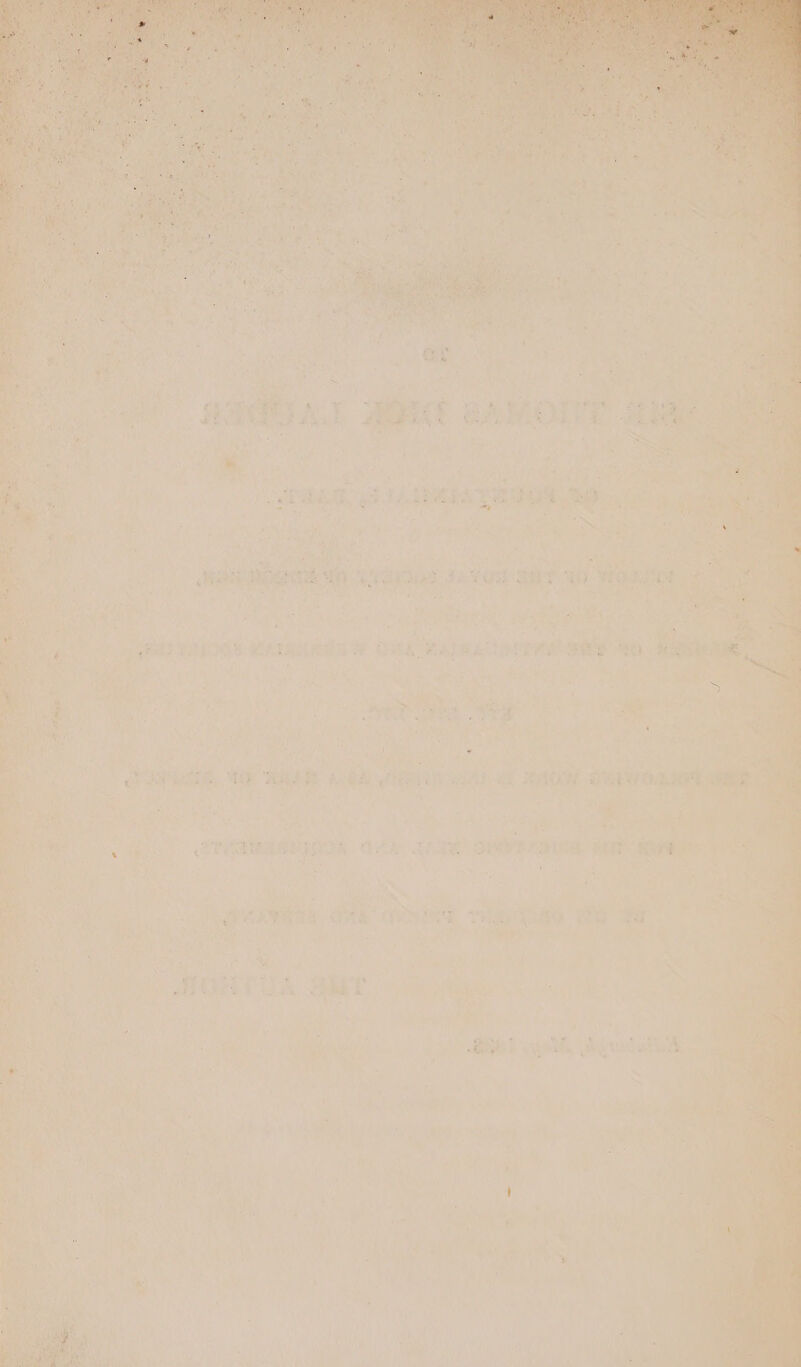 Foe, wom 96 ho ee br - Yoga , es, ae a? ream ok aietk ct aueineans v8 ar pei iad wine ae ae RHINE Bo eat aa ae is en ae,