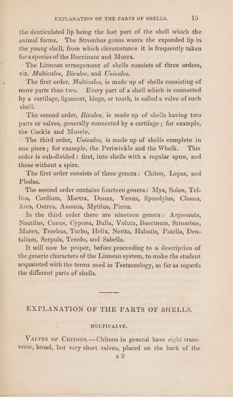the denticulated lip being the last part of the shell which the animal forms. The Strombus genus wants the expanded lip in the young shell, from which circumstance it is frequently taken for aspecies of the Buccinum and Murex. The Linnean arrangement of shells consists of three orders, viz. Multivalve, Bivalve, and Univalve. The first order, Multivalve, is made up of shells consisting of more parts than two. Every part of a shell which is connected by a cartilage, ligament, hinge, or tooth, is called a valve of such shell. The second order, Bivalve, is made up of shells having two parts or valves, generally connected by a cartilage ; for example, the Cockle and Muscle. The third order, Univalve, is made up of shells complete in one piece; for example, the Periwinkle and the Whelk. This order is sub-divided: first, into shells with a regular spire, and those without a spire. The first order consists of three genera: Chiton, Lepas, and Pholas, | The second order contains fourteen genera: Mya, Solen, Tel- lina, Cardium, Mactra, Donax, Venus, Spondylus, Chama, Area, Ostrea, Anomia, Mytilus, Pinna. In the third order there are nineteen genera: Argonauta, Nautilus, Conus, Cyprza, Bulla, Voluta, Buccinum, Strombus, Murex, Trochus, Turbo, Helix, Nerita, Haliotis, Patella, Den- talium, Serpula, Teredo, and Sabella. It will now be proper, before proceeding to a description of the generic characters of the Linnean system, to make the student acquainted with the terms used in Testaceology, as far as regards the different parts of shells. EXPLANATION OF THE PARTS OF SHELLS. MULTIVALVE. Valves or Cuirons.—Chitons in general have eight trans- verse, broad, but very short valves, placed on the back of the B2