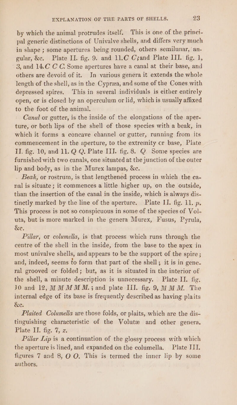 by which the animal protrudes itself. This is one of the princi- pal generic distinctions of Univalve shells, and differs very much in shape ; some apertures being rounded, others semilunar, ‘an. gular, &amp;c. Plate II. fig. 9. and 11.C Cand Plate III. fig. 1, 3, and 14.C C C. Some apertures have a canal at their base, and others are devoid of it. In various genera it extends the whole length of the shell, as in the Cyprzea, and some of the Cones with depressed spires. This in several individuals is either entirely open, or is closed by an operculum or lid, which is usually affixed to the foot of the animal. Canal or gutter, is the inside of the elongations of the aper- ture, or both lips of the shell of those species with a beak, in which it forms a concave channel or gutter, running from its commencement in the aperture, to the extremity or base, Plate II. fig. 10, and 11. Q Q. Plate ITI. fig. 8. @. Some species are furnished with two canals, one situated at the junction of the outer lip and body, as in the Murex lampas, &amp;c. Beak, or rostrum, is that lengthened process in which the ca- nal is situate ; it commences a little higher up, on the outside, than the insertion of the canal in the inside, which is always dis- tinctly marked by the line of the aperture. Piate II. fig. 11. p. This process is not so conspicuous in some of the species of Vol- uta, but is more marked in the genera Murex, Fusus, Pyrula, &amp;e. Pillar, or columella, is that process which runs through the centre of the shell in the inside, from the base to the apex in most univalve shells, and appears to be the support of the spire ; and, indeed, seems fo form that part of the shell; it is in gene- ral grooved or folded; but, as it is situated in the interior of the shell, a minute description is unnecessary. Plate IJ. fig. JO and 12, MMMM M.; and plate ILI. fig. 9,4 MM. The internal edge of its base is frequently described as having plaits &amp;e. Plaited Columella are those folds, or plaits, which are the dis- tinguishing characteristic of the Volute and other genera. Plate II. fig. 7, z. Pillar Lip is a continuation of the glossy process with which the aperture is lined, and expanded on the columella. Plate III. figures 7 and 8, O O. This is termed the inner lip by some authors.